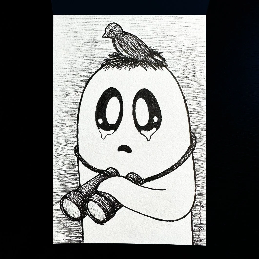 Day 16: Bird Watching