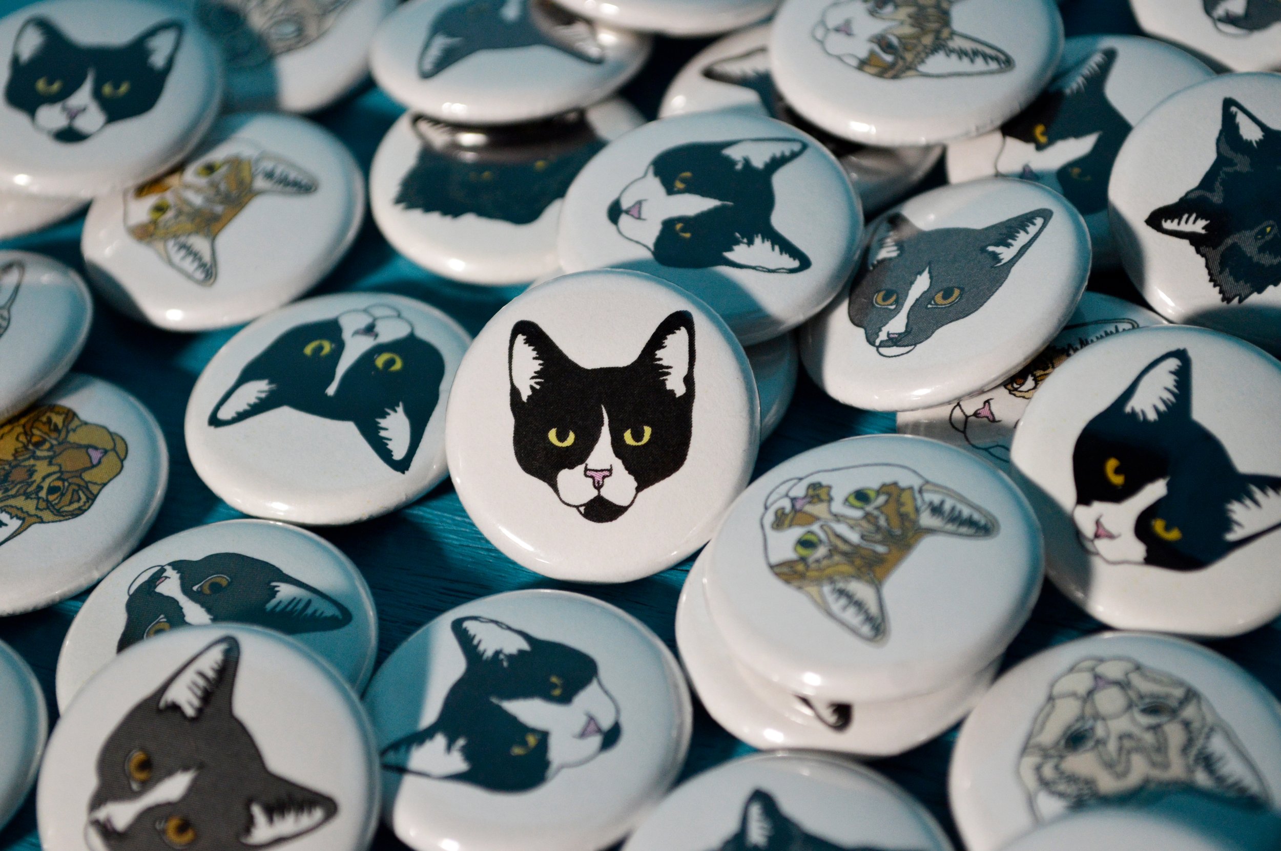 cat-magnets-front-2.jpg