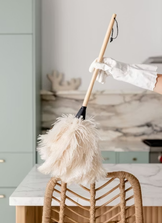 🏠Standard Residential Cleaning (Recurring)