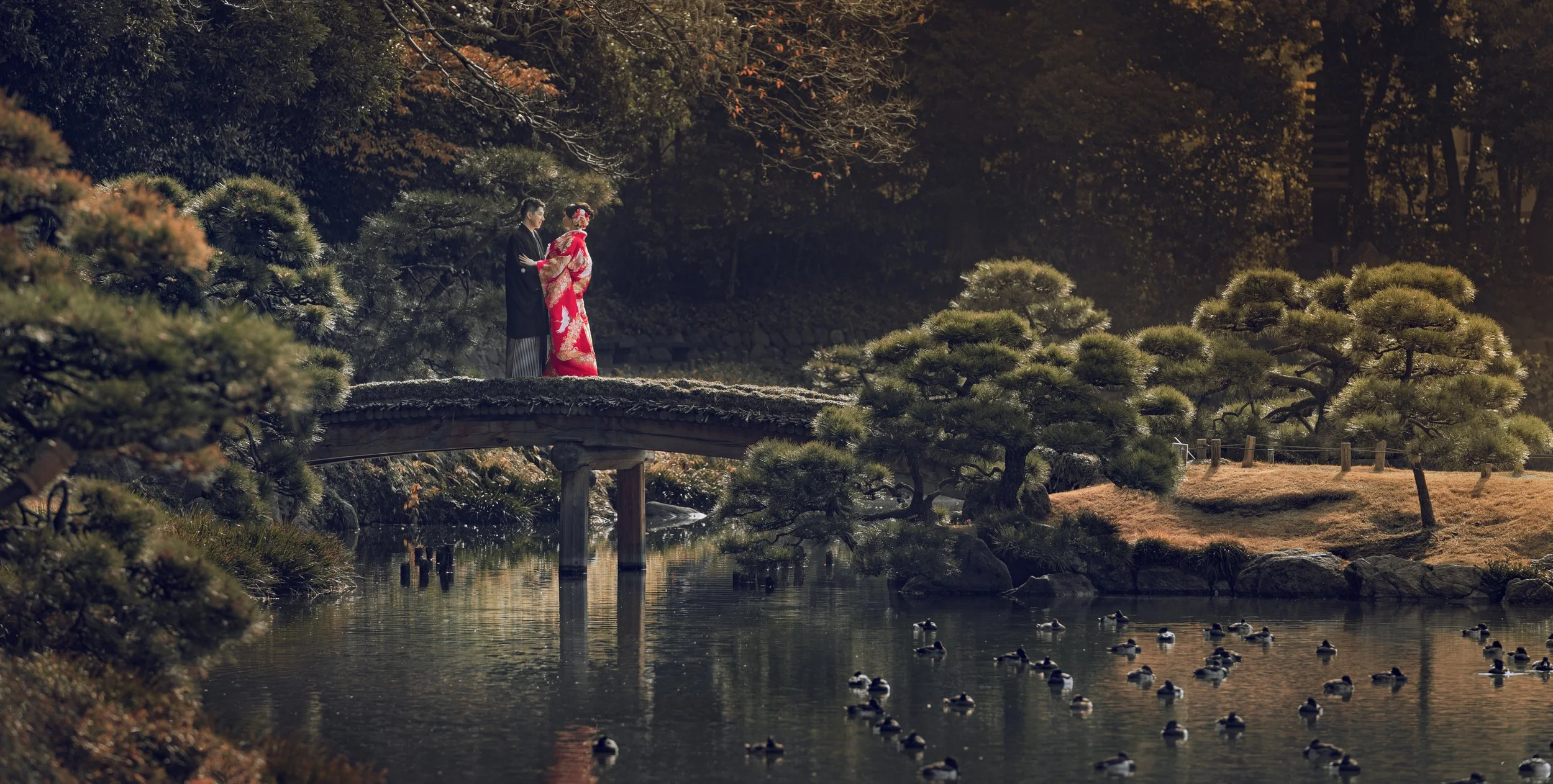 A man and woman in traditional Japanese wedding attire standing on a small bridge over a pond with ducks, surrounded by lush greenery and autumn trees.