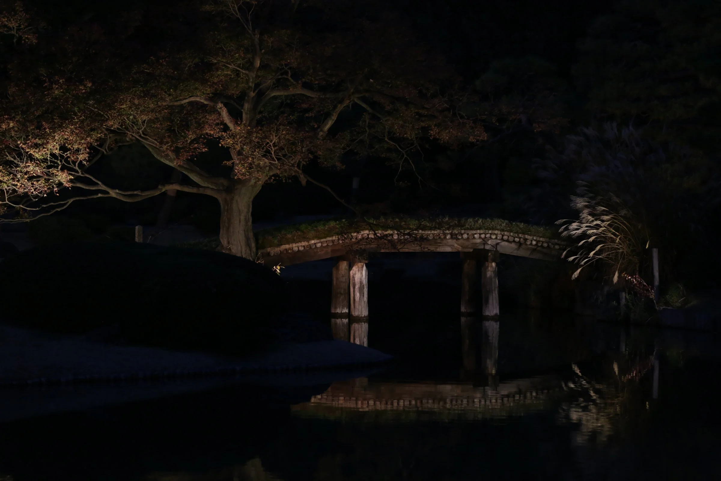 Wooden bridge over the pond at Rikugien Gardens, Tokyo, lit in the evening