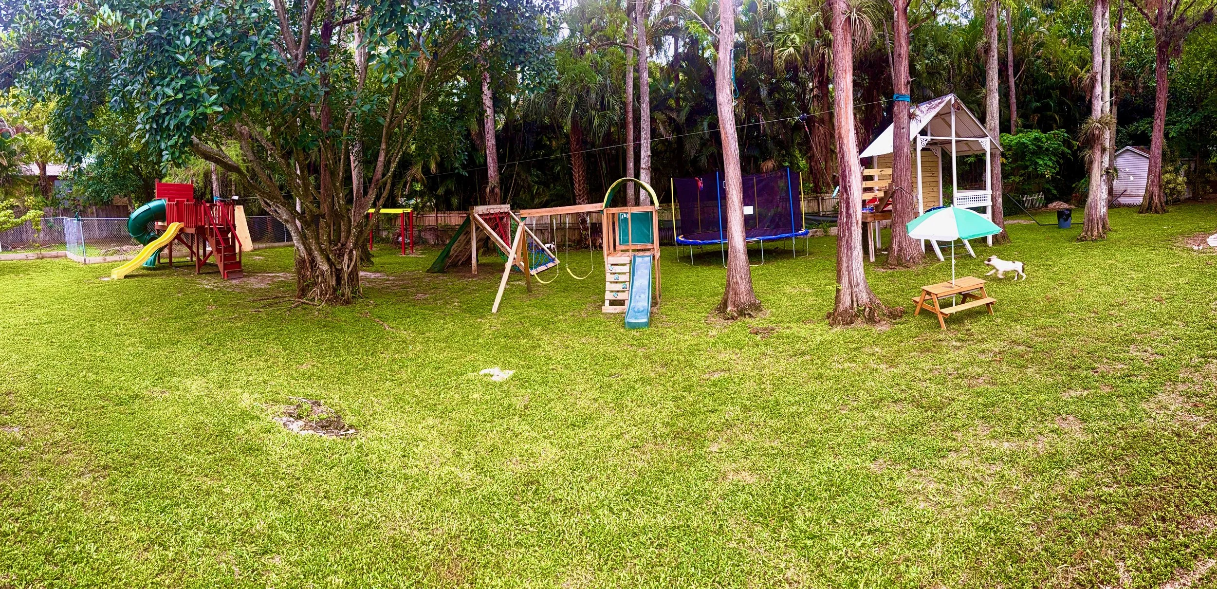 backyard.jpeg