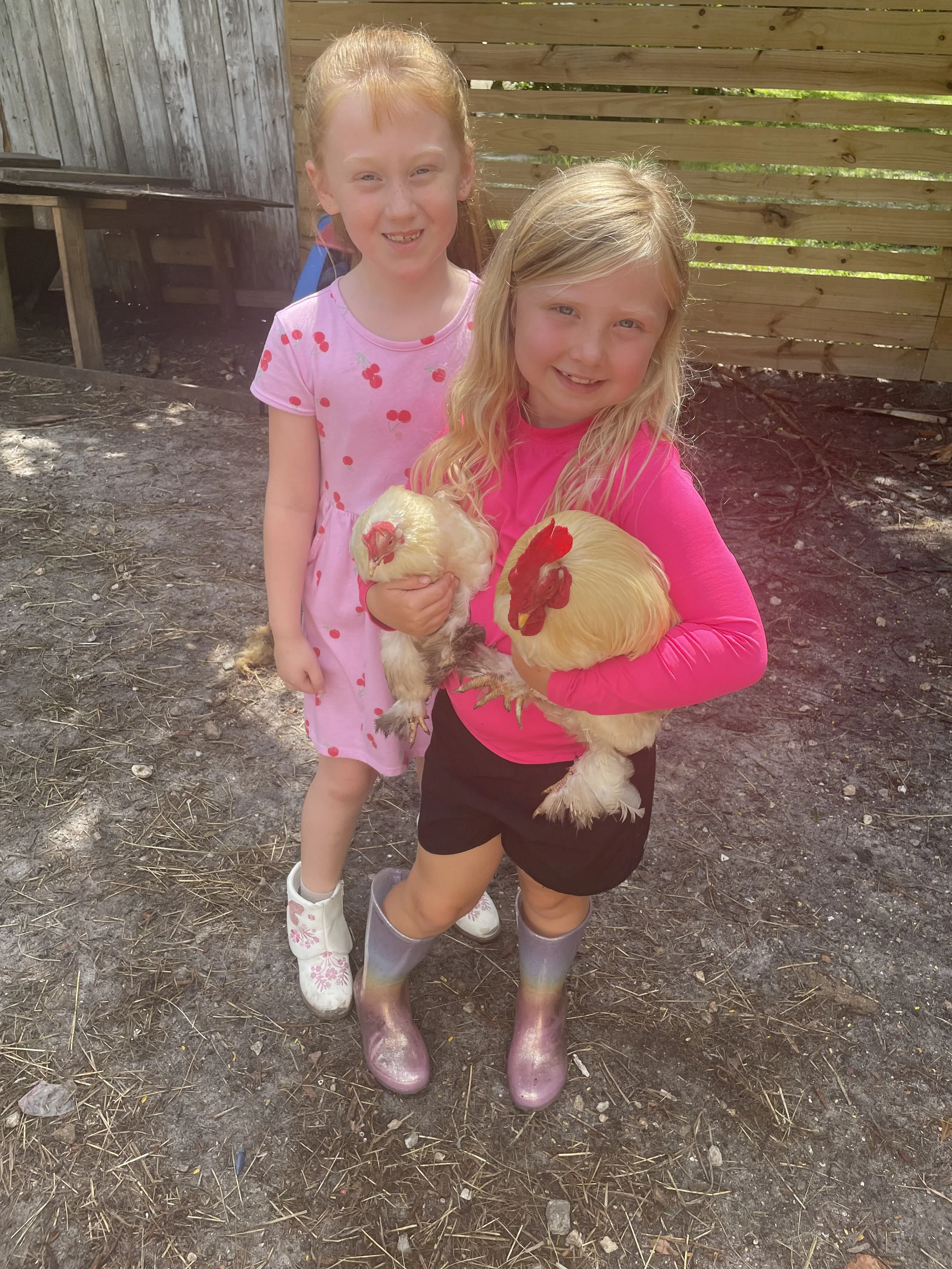Girls w cluck norris & elsa.jpeg