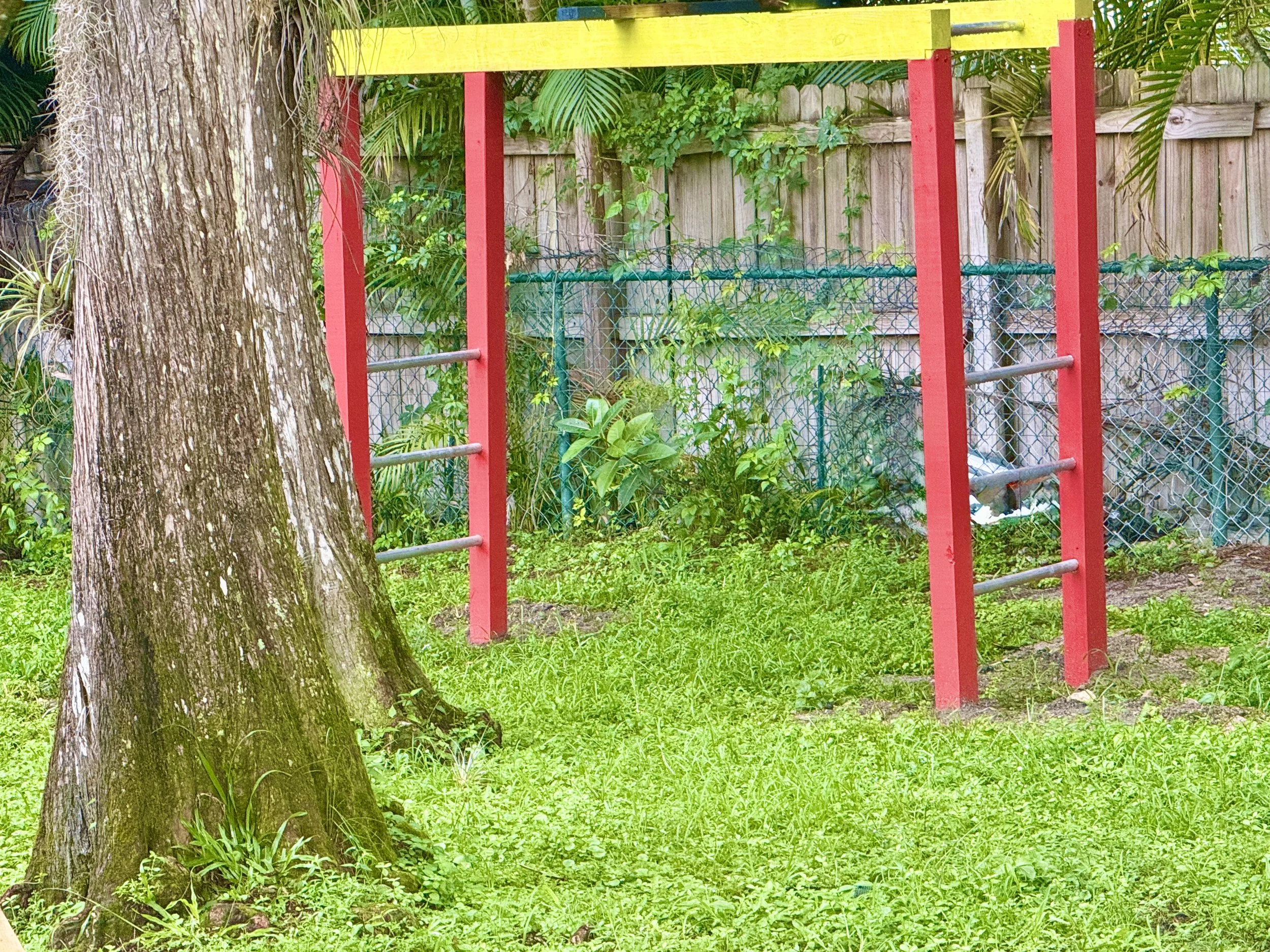 monkey bars.JPEG