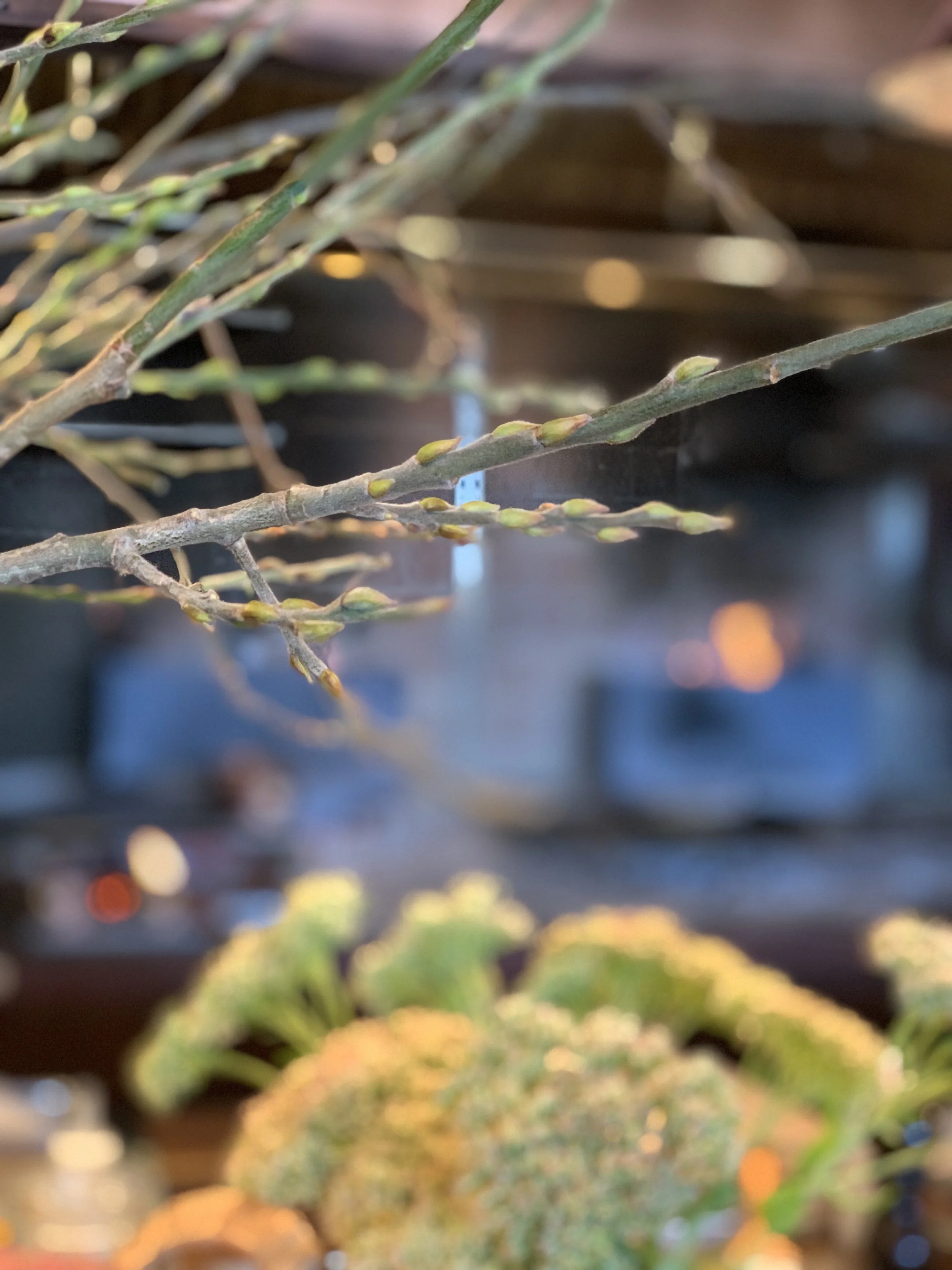img_5590.jpeg