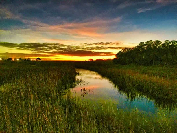 Lowcountry, High Standards