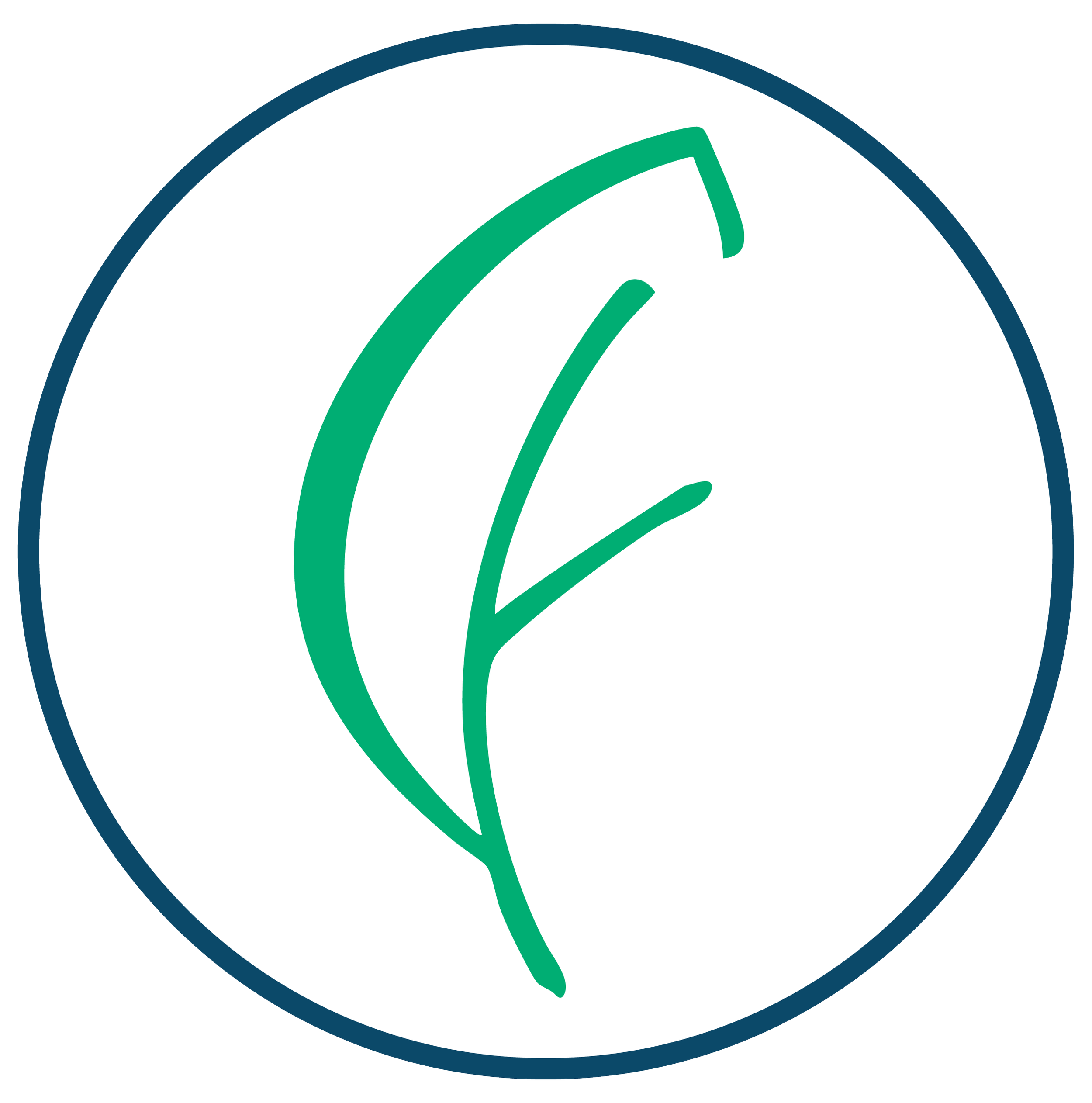 The Community Foundation for Mississippi logo featuring a green leaf shape within a white circle, outlined with a dark blue border.