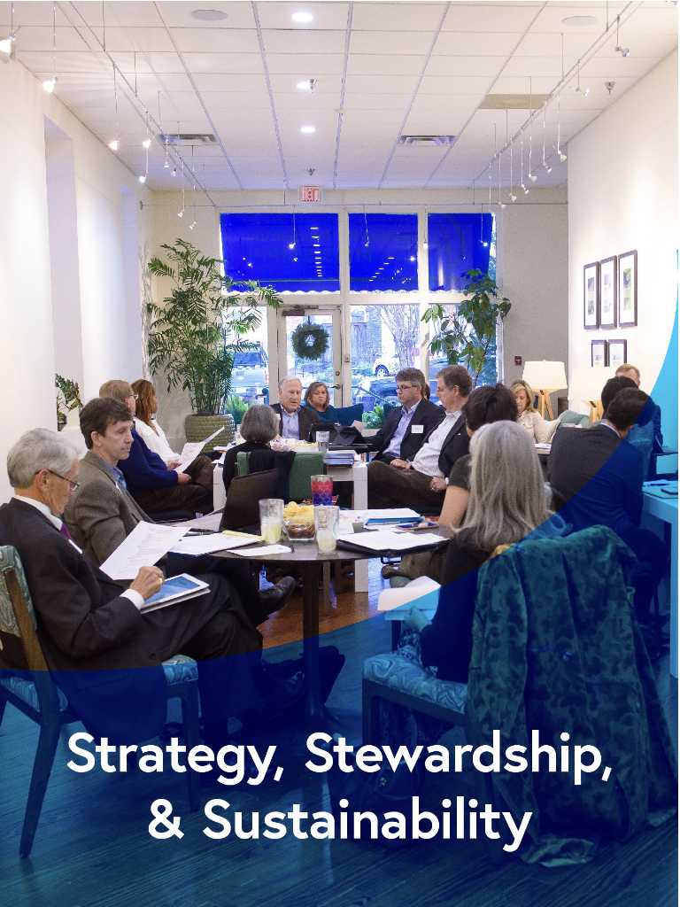 Strategy, Stewardship, and Sustainability
