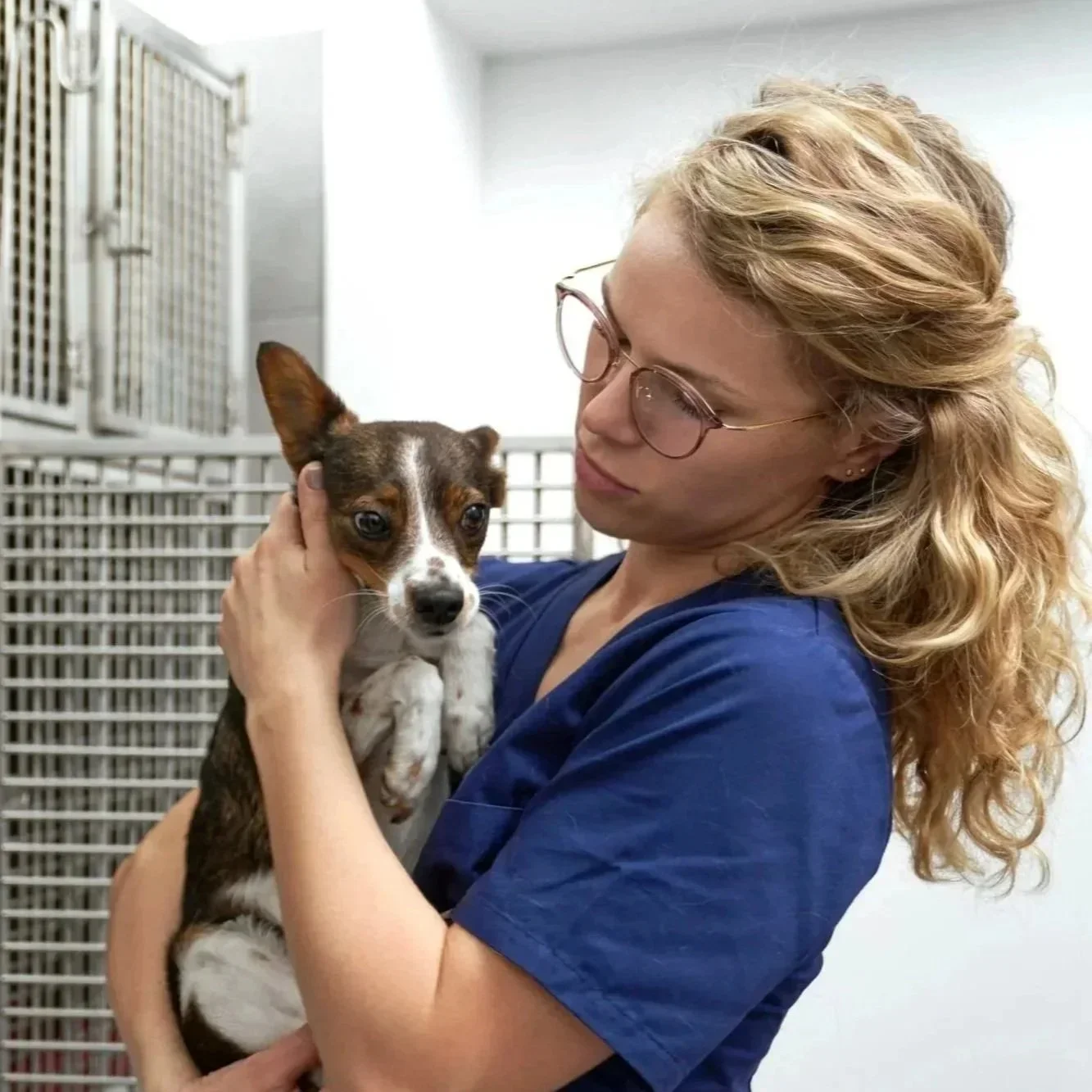 caring-veterinarian-holding-a-small-dog-at-clinic-2026-03-13-01-52-56-utc.webp