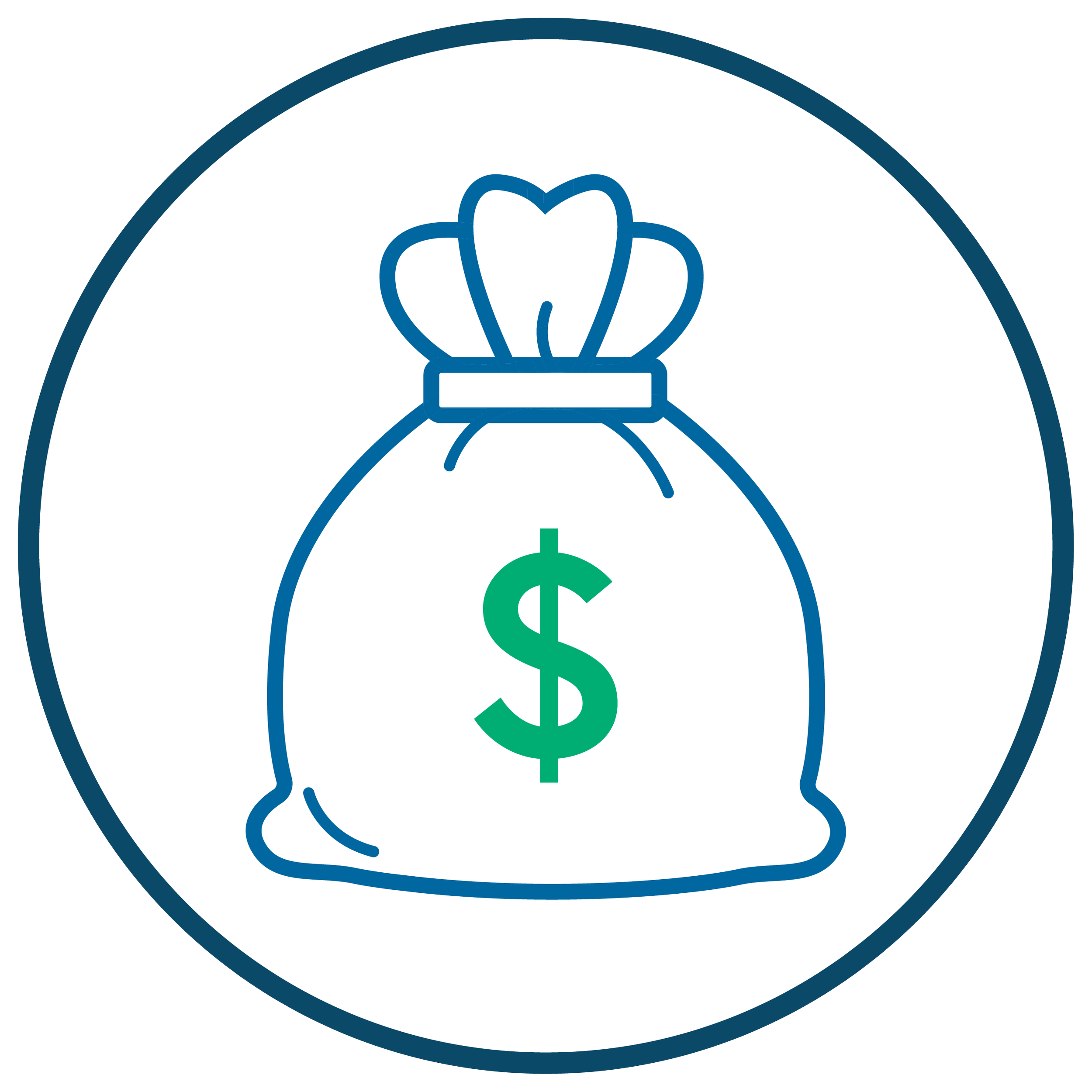 Outline of a bag of money.