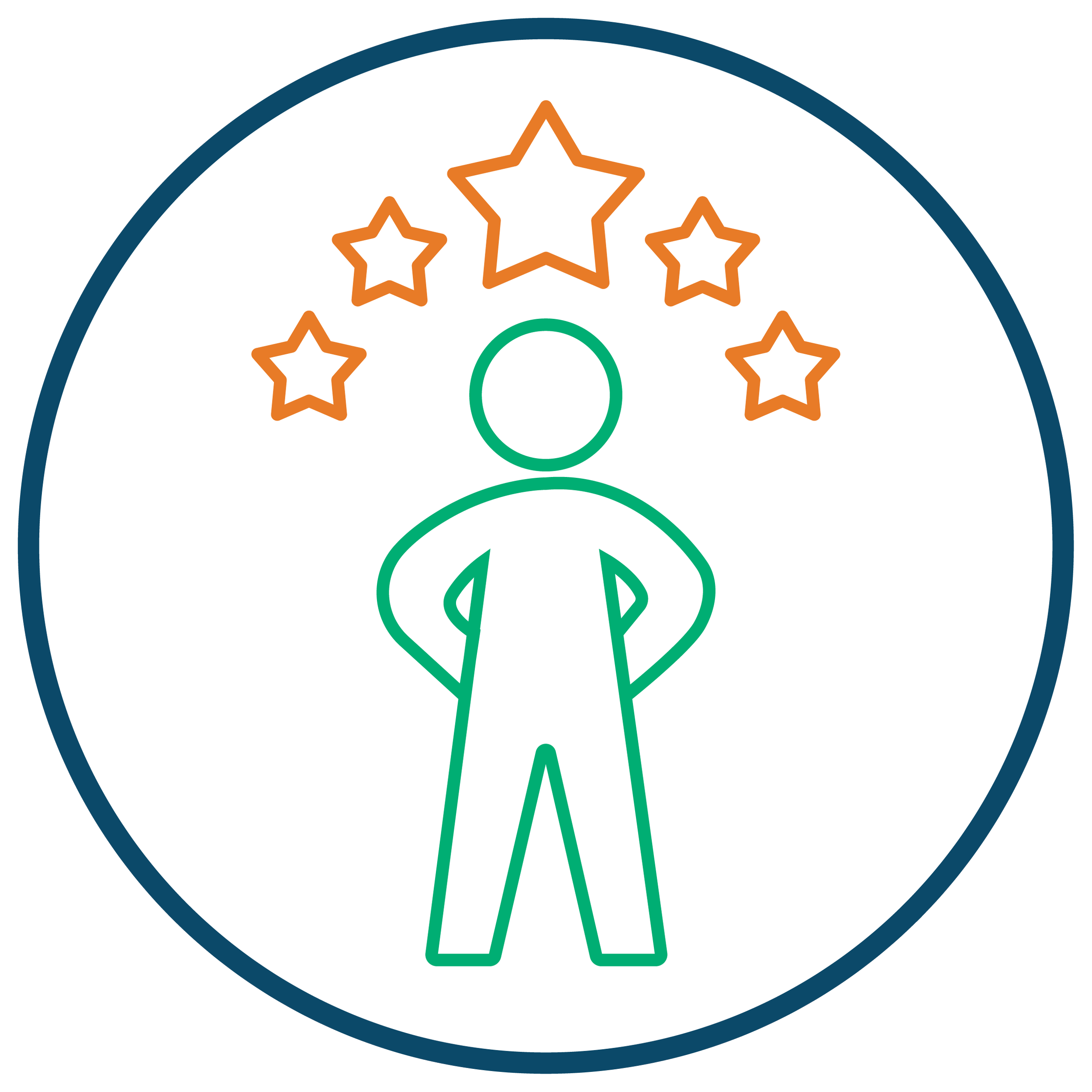 Outline drawing of a person with five stars above their head inside a circle, with a thick outer border.