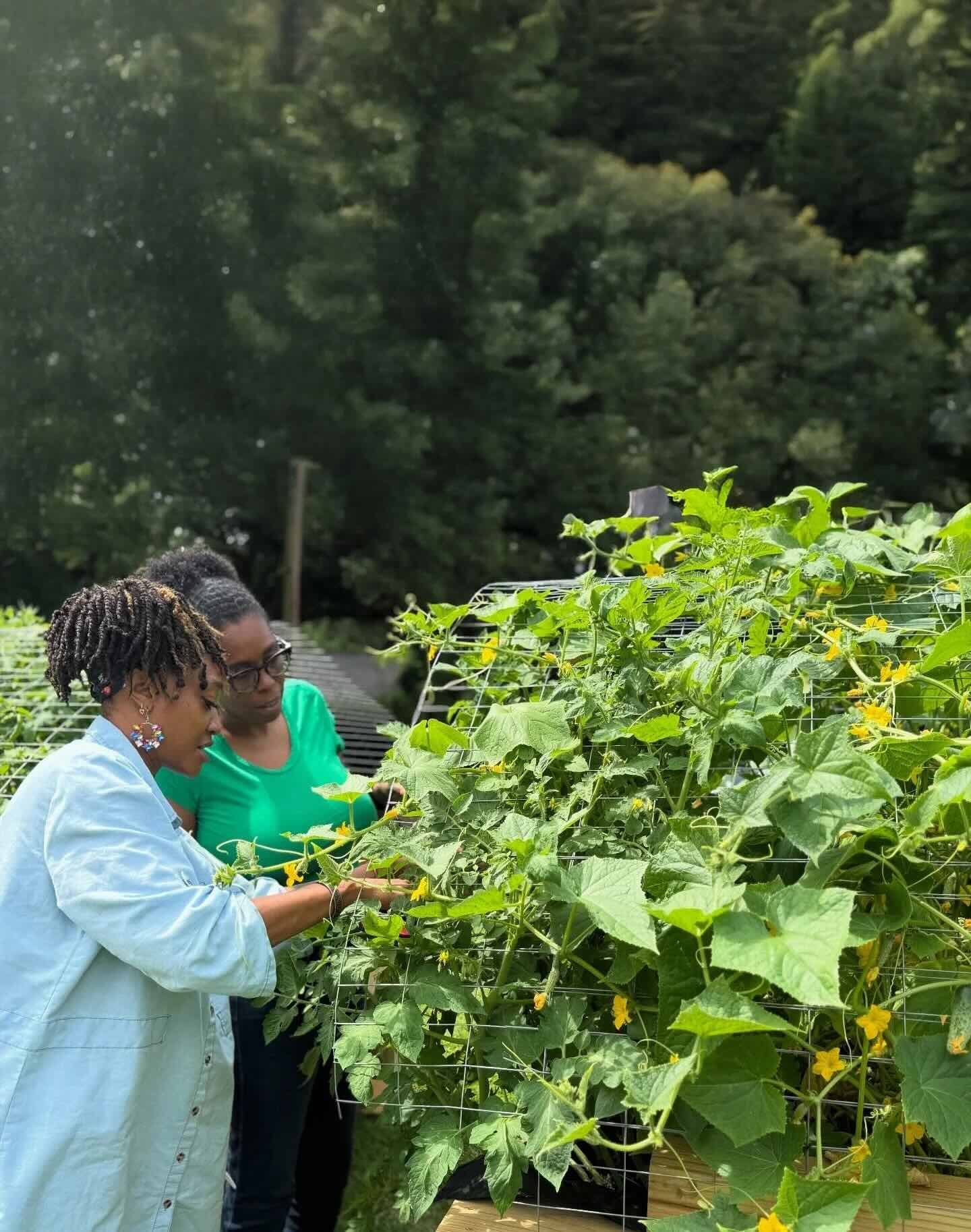 Two women inspect flowers in a garden. | Center for Social Entrepreneurship | Community Foundation for Mississippi Grants