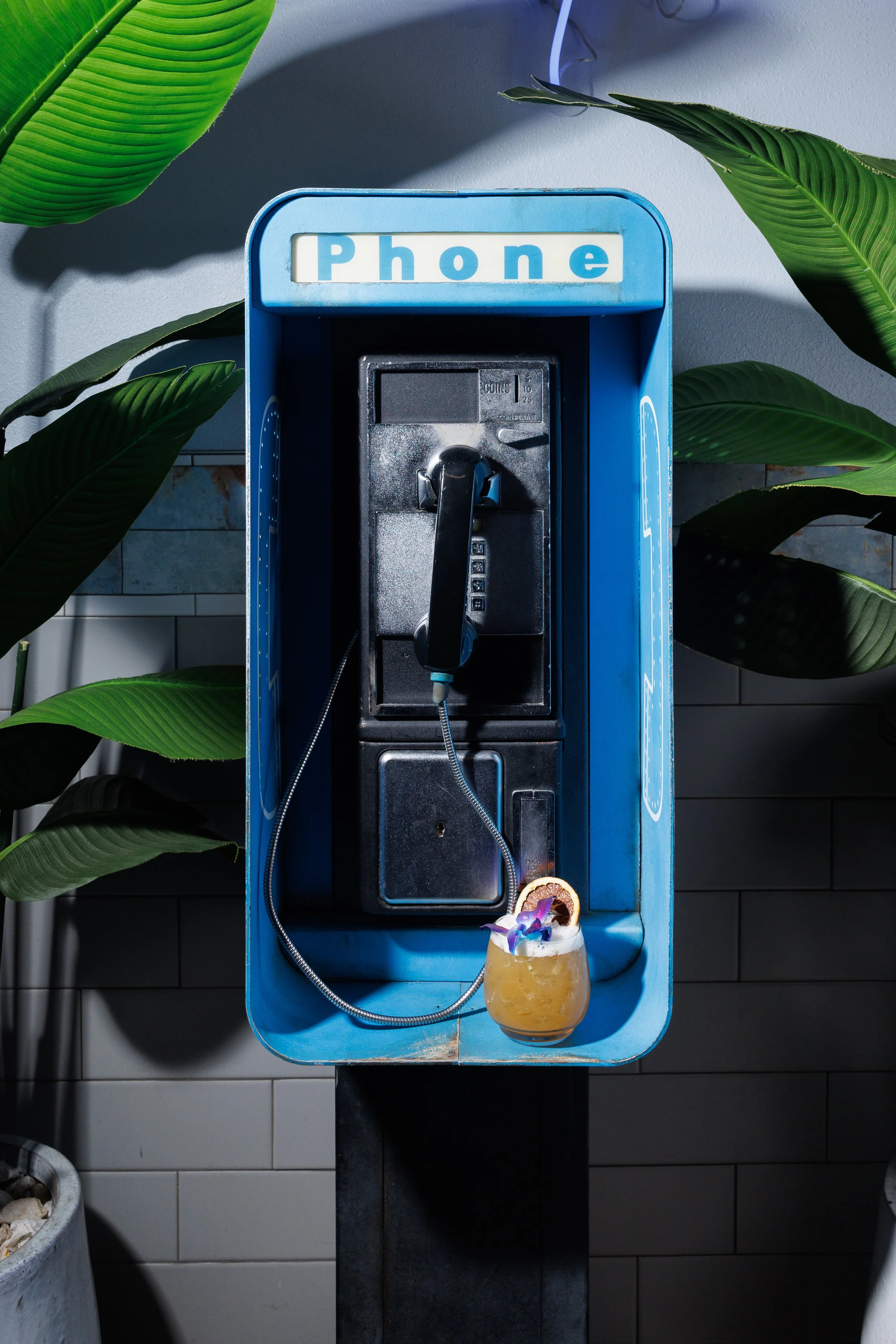 Payphone on a blue wall with tropical plants on both sides and a cocktail at the bottom.
