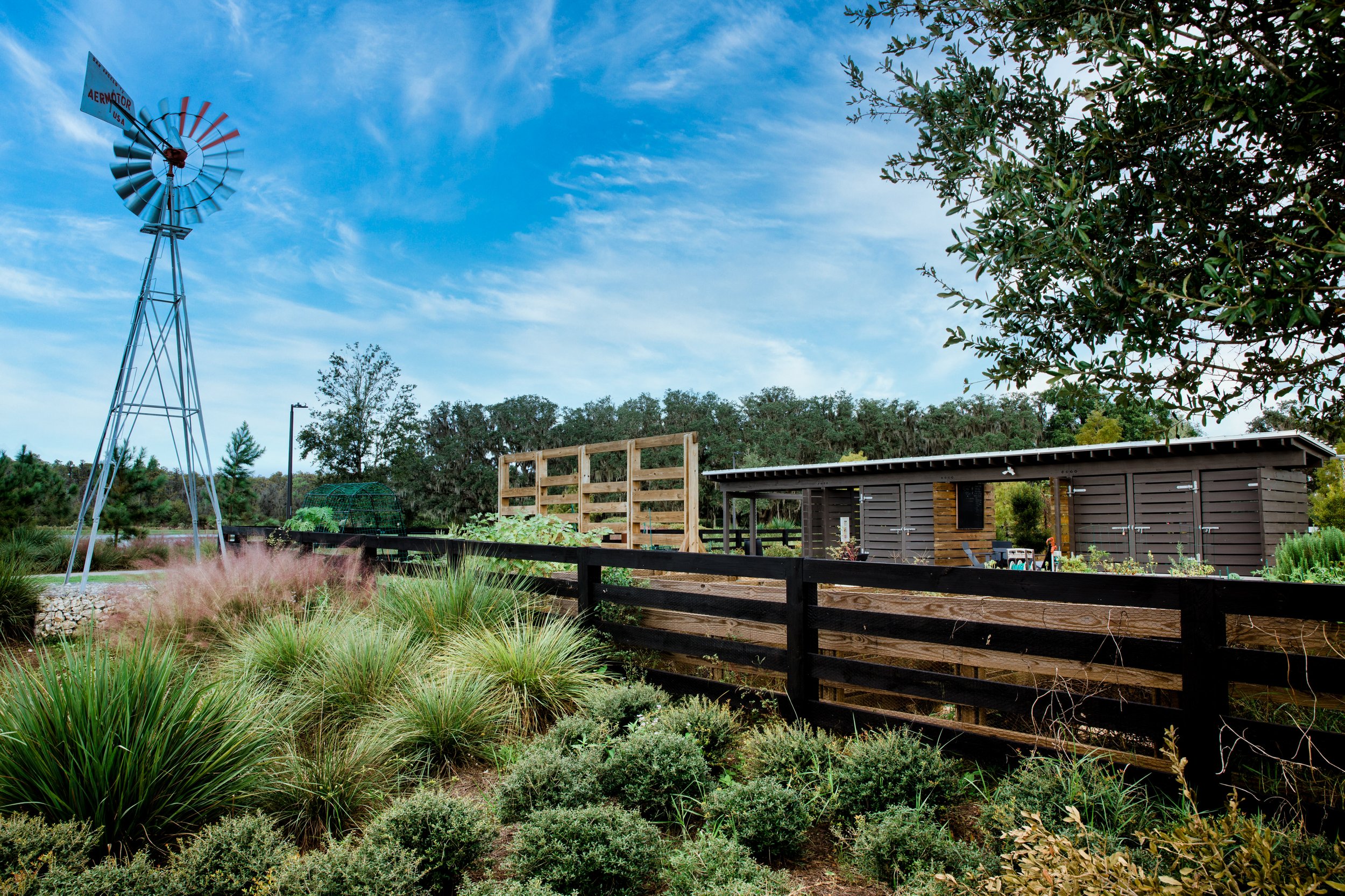 Designed by Mike Ruble. Starkey Ranch garden building, wood fence, windmill, tufted grasses, blue sky.