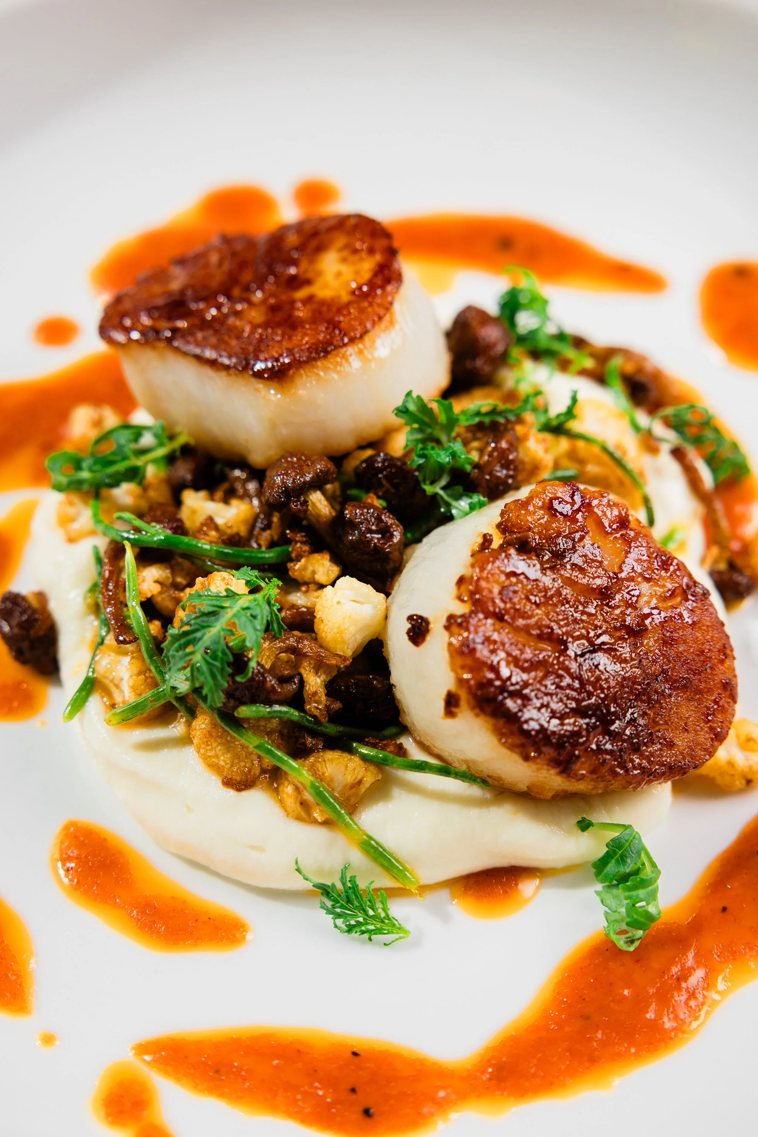 Seared scallops served with a creamy purée, garnished with herbs, and drizzled with orange-colored sauce.