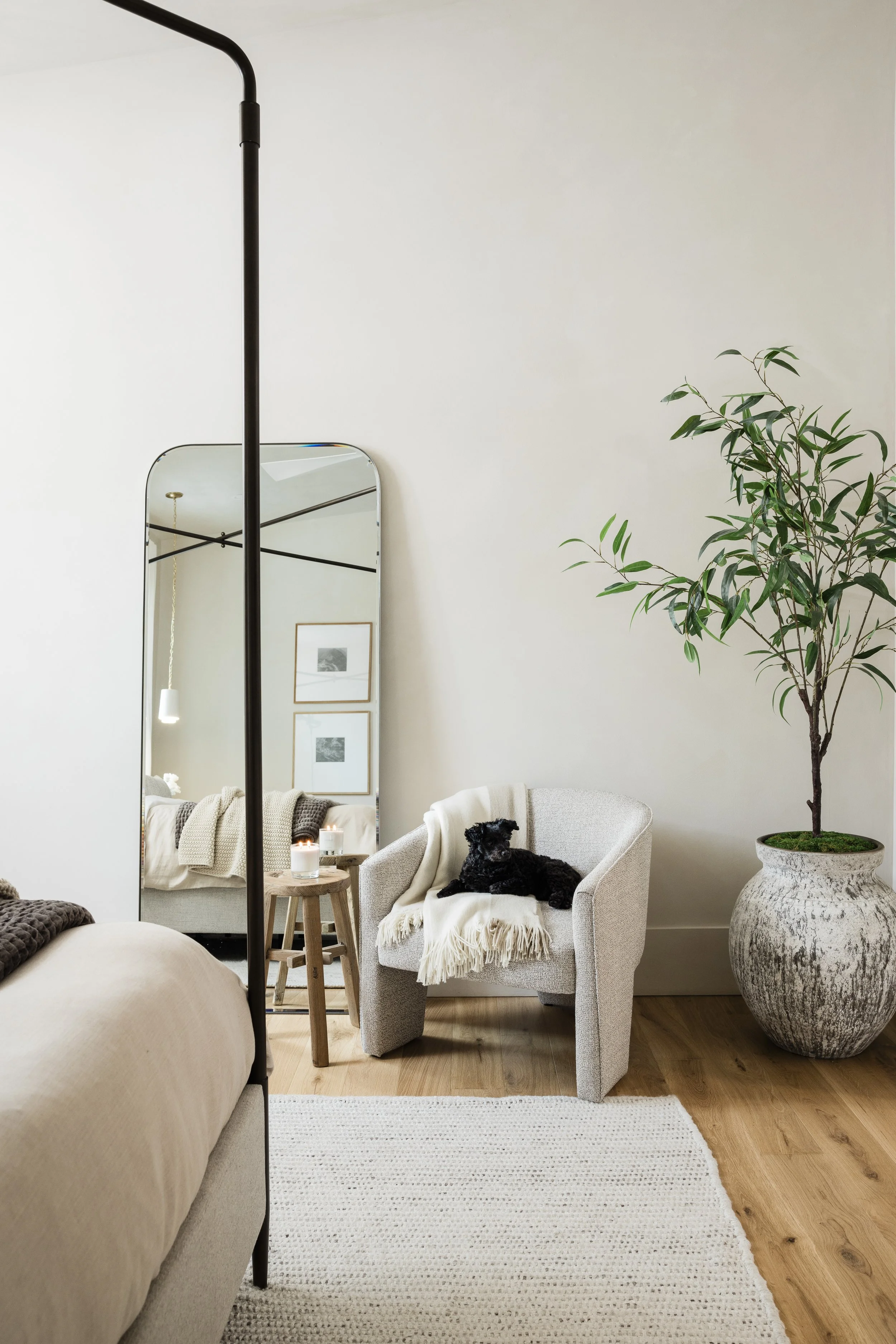 Living room with beige armchair, blanket, small wooden side table with candles, large potted plant, mirror reflecting modern art, framed photographs, and a black dog resting on the armchair.