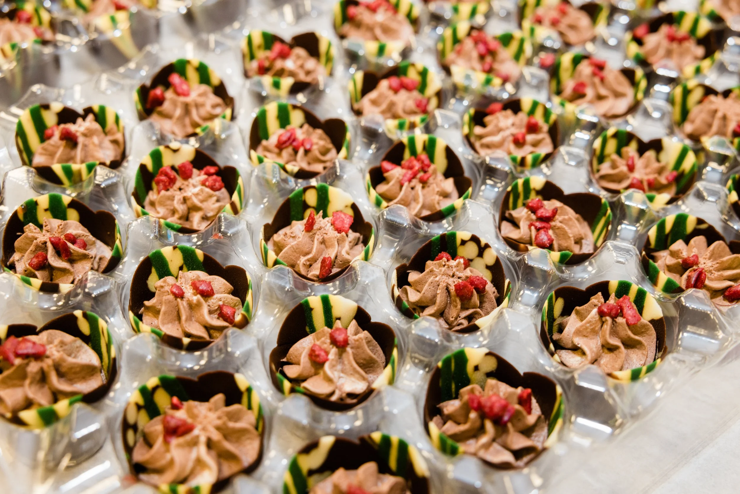 Tray of small chocolate cups filled with mousse and garnished with red bits, each cup decorated with green and white striped chocolate.