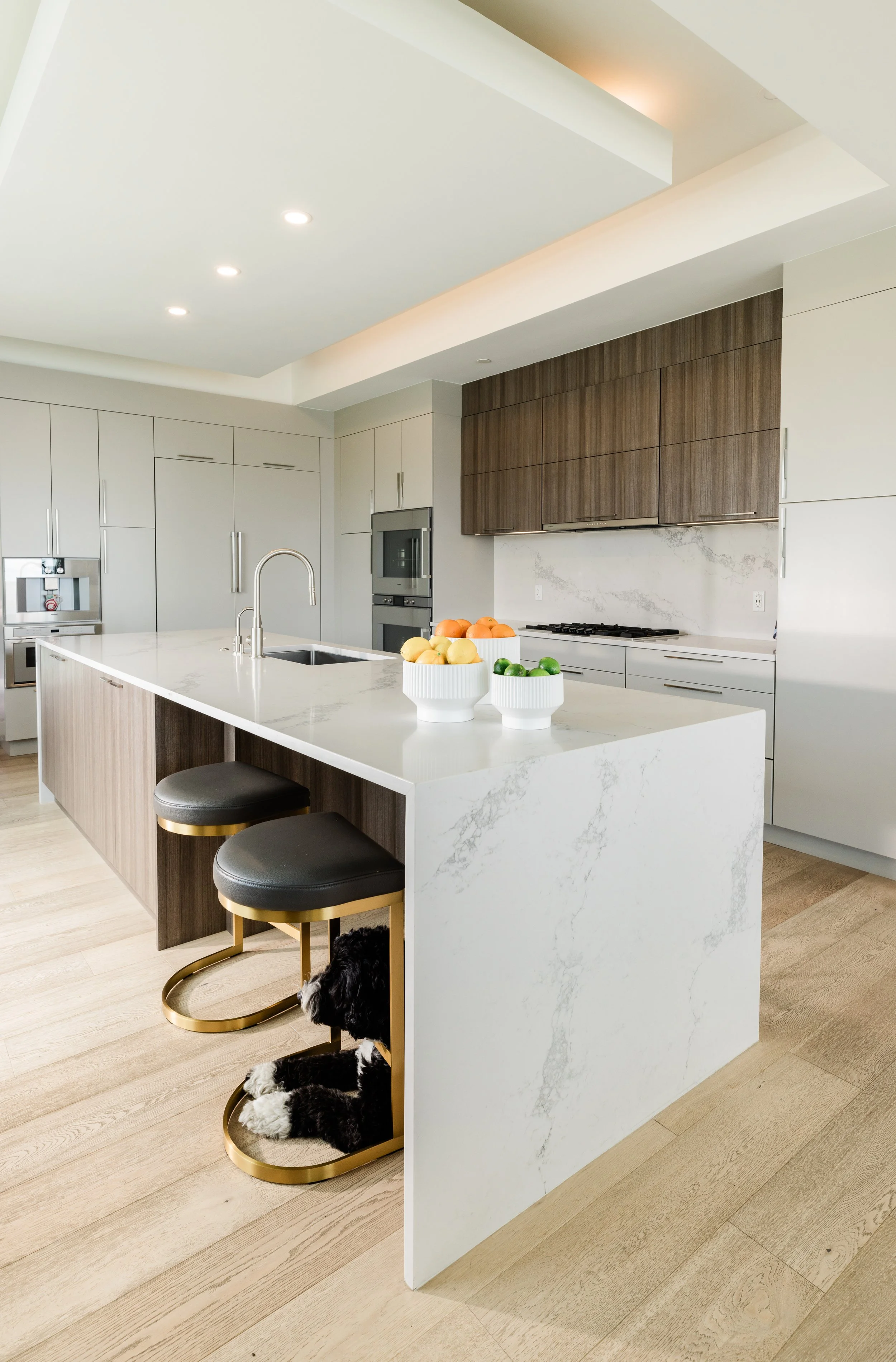 Modern kitchen with white and wood cabinets, white marble island with a sink, and bowls of fruit on the counter. Two black and white puppies sit on gold and black bar stools.