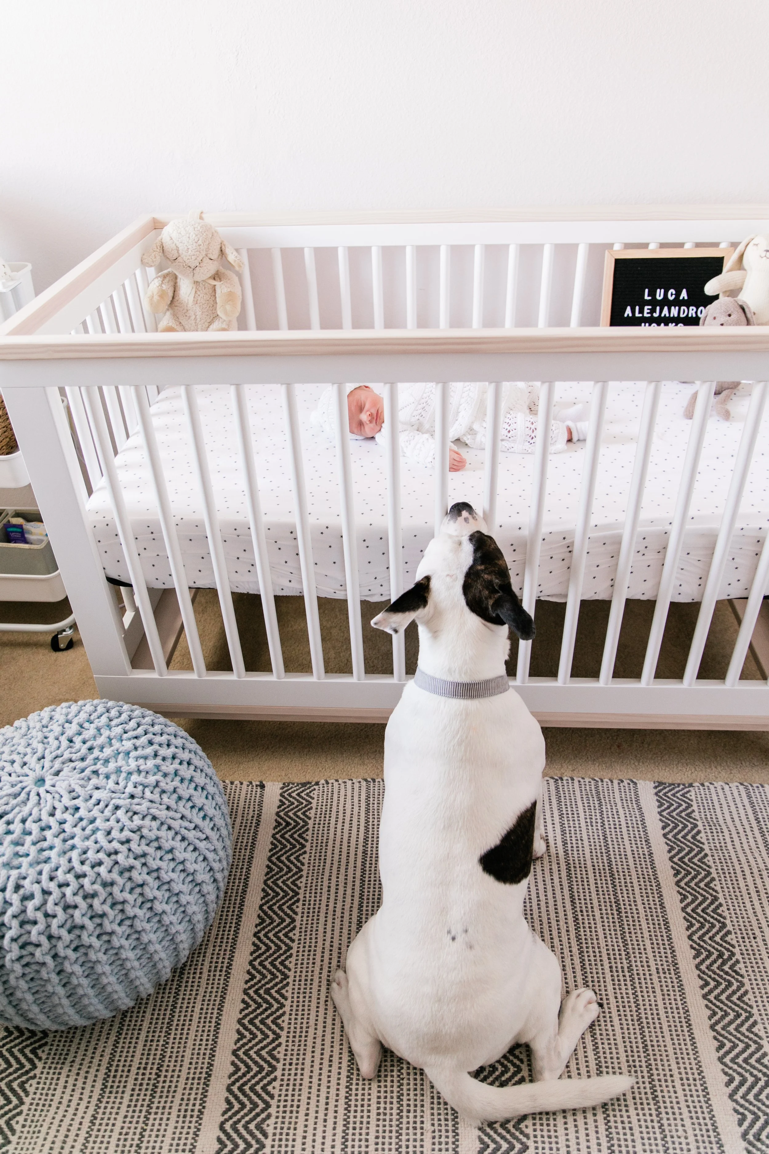 white and black spotted dog watches baby in crib