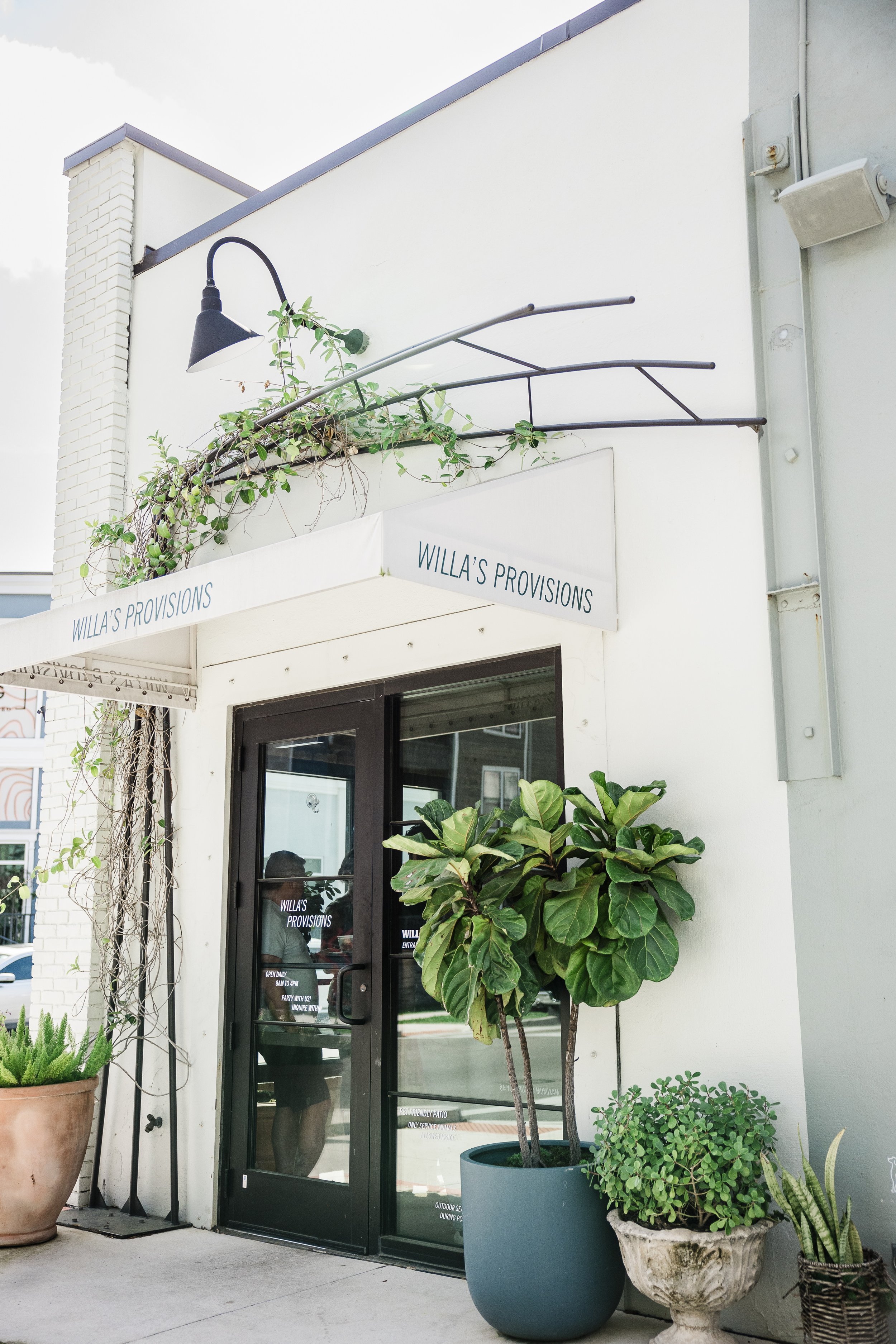 Exterior view of a shop named WILLA'S PROVISIONS with black framed glass door, surrounded by large potted plants including a fiddle leaf fig, a shrub, and a smaller plant, with a white awning above showing the shop's name.