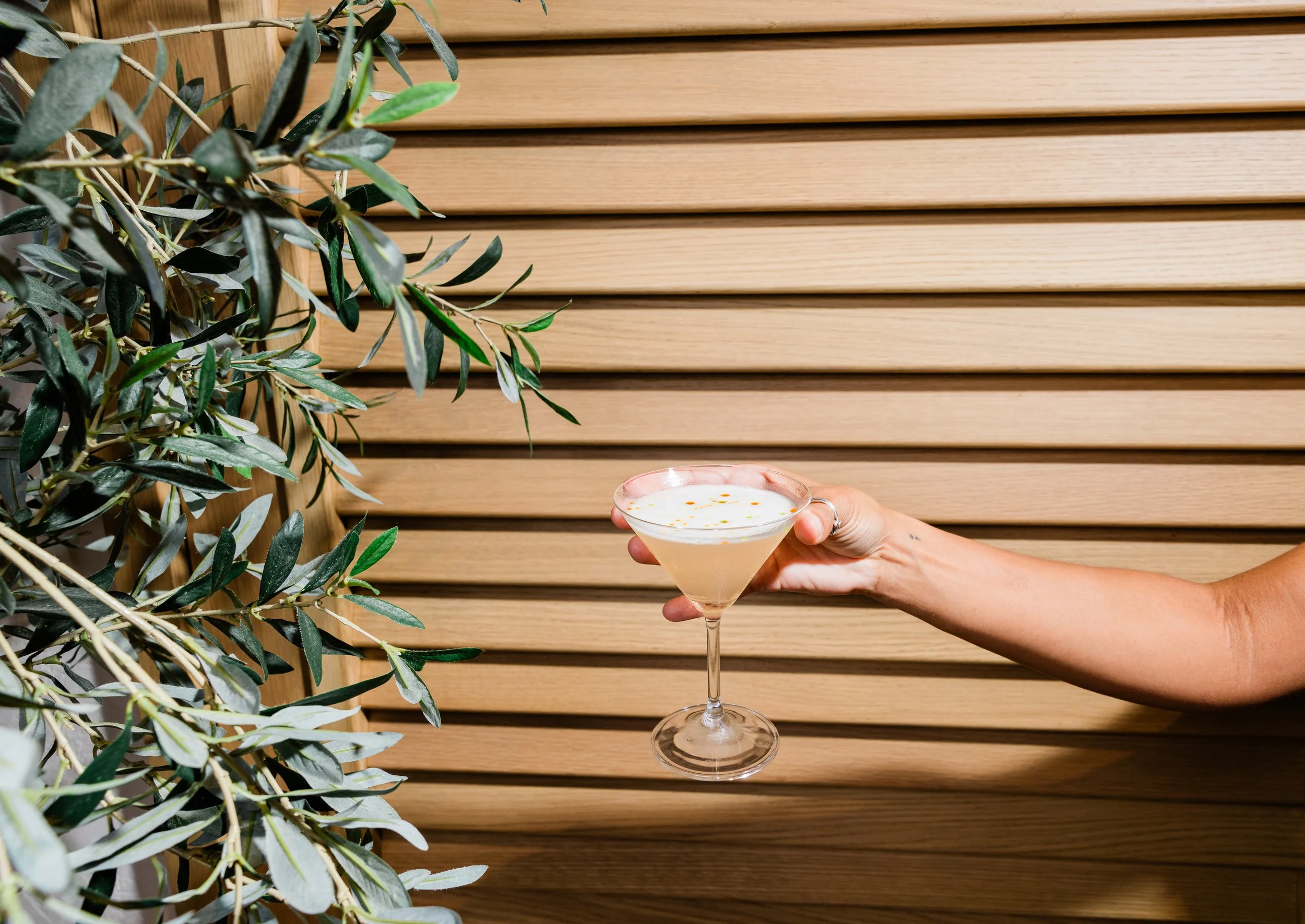 A hand holding a martini glass with a creamy white cocktail garnished with orange zest, set against a wooden slatted background with green leafy plants.