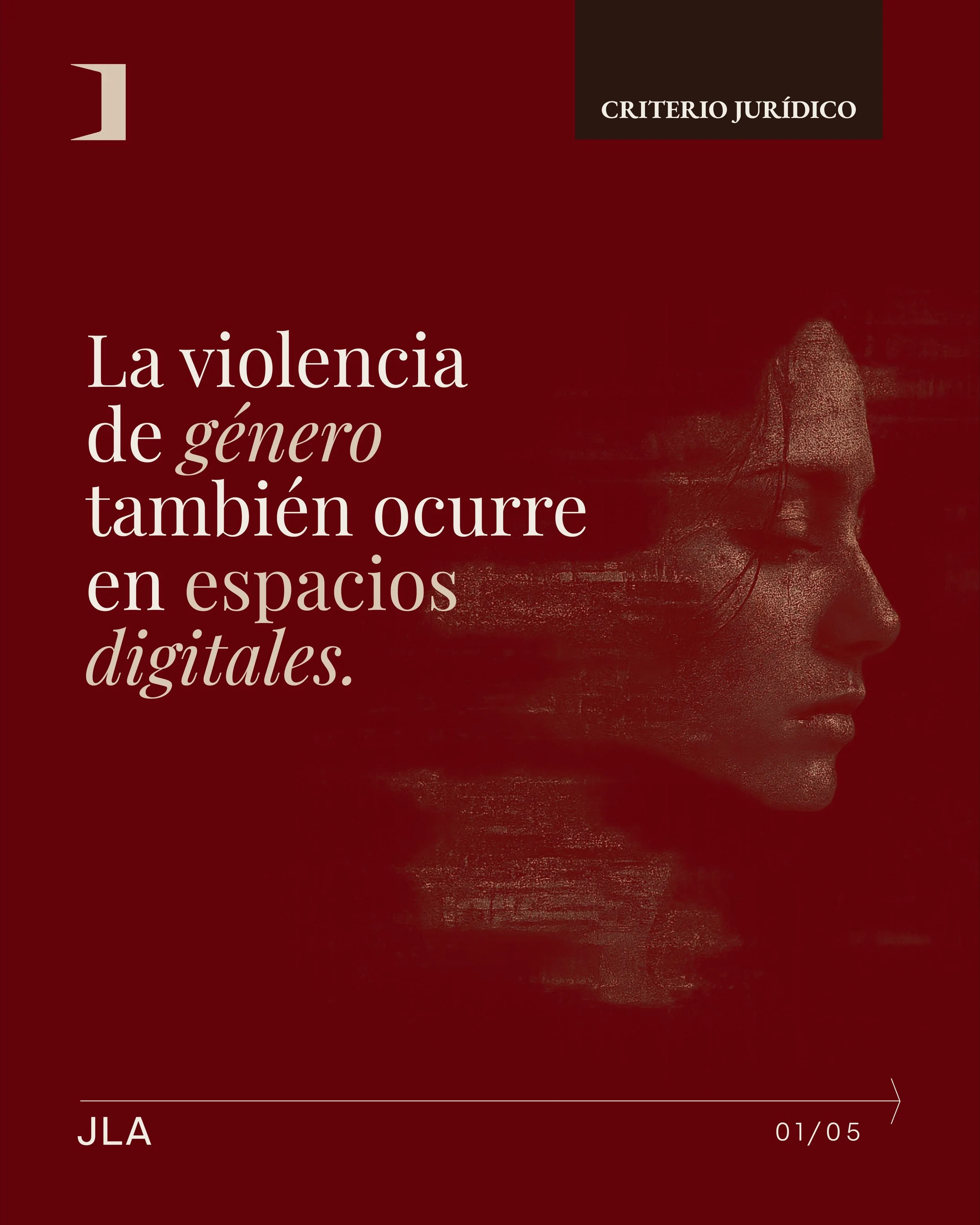 La violencia digital no es un problema aislado ni exclusivamente tecnol&oacute;gico. Tambi&eacute;n refleja desigualdades, relaciones de poder y formas de violencia que ya existen fuera de internet.

A partir de esta preocupaci&oacute;n, nuestra soci