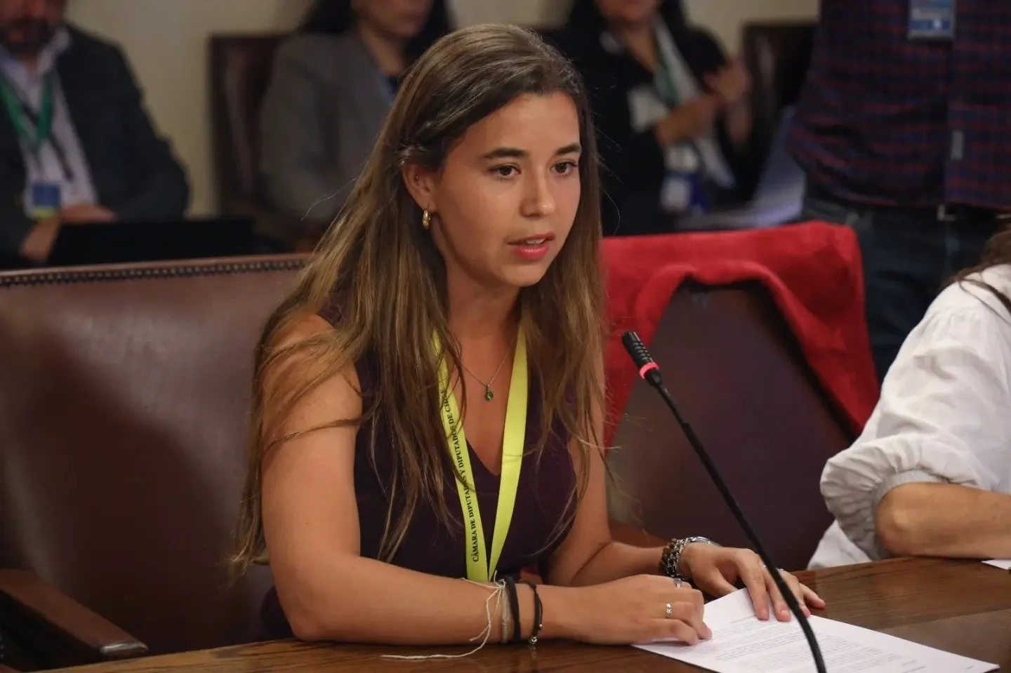 Josefina Letelier participando en una instancia institucional vinculada a Fundación Heloicas Chile.