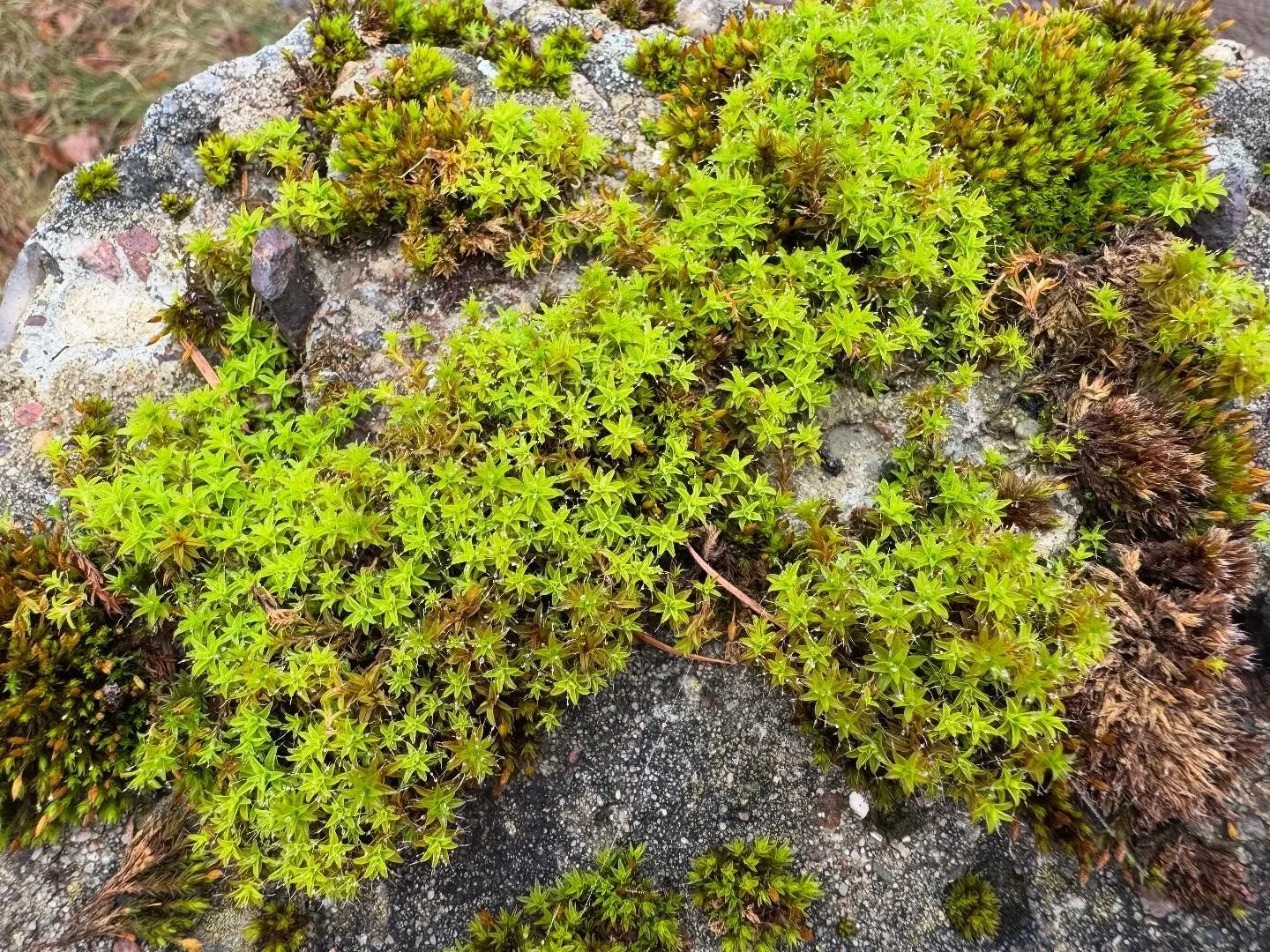 mmmerliperli_1766309958_3792405259729534282_19328709883.jpg