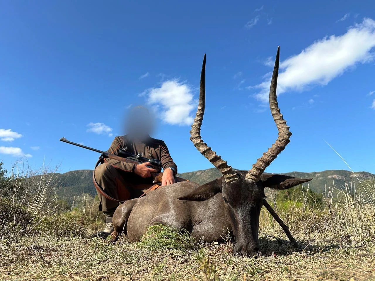 WhatsApp Image 2024-09-15 at 4.31.25 PM.jpg