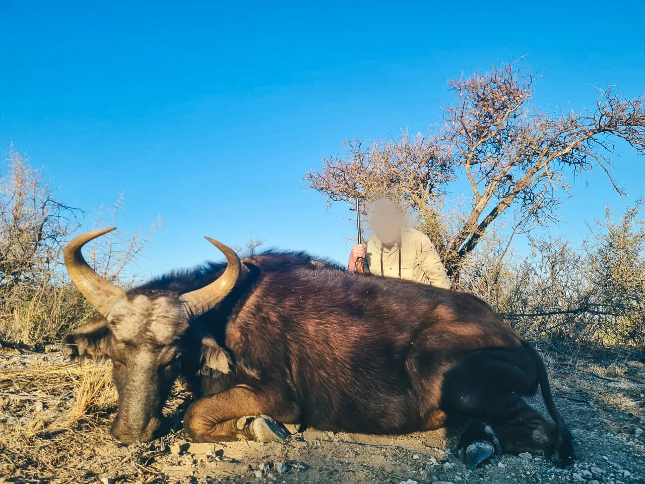 WhatsApp Image 2024-11-14 at 8.41.03 AM.jpg