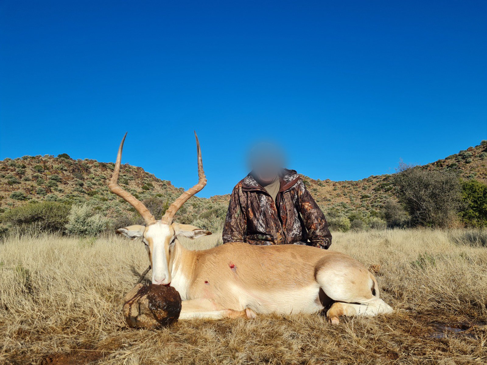 WhatsApp Image 2025-02-12 at 10.49.27 AM.jpg