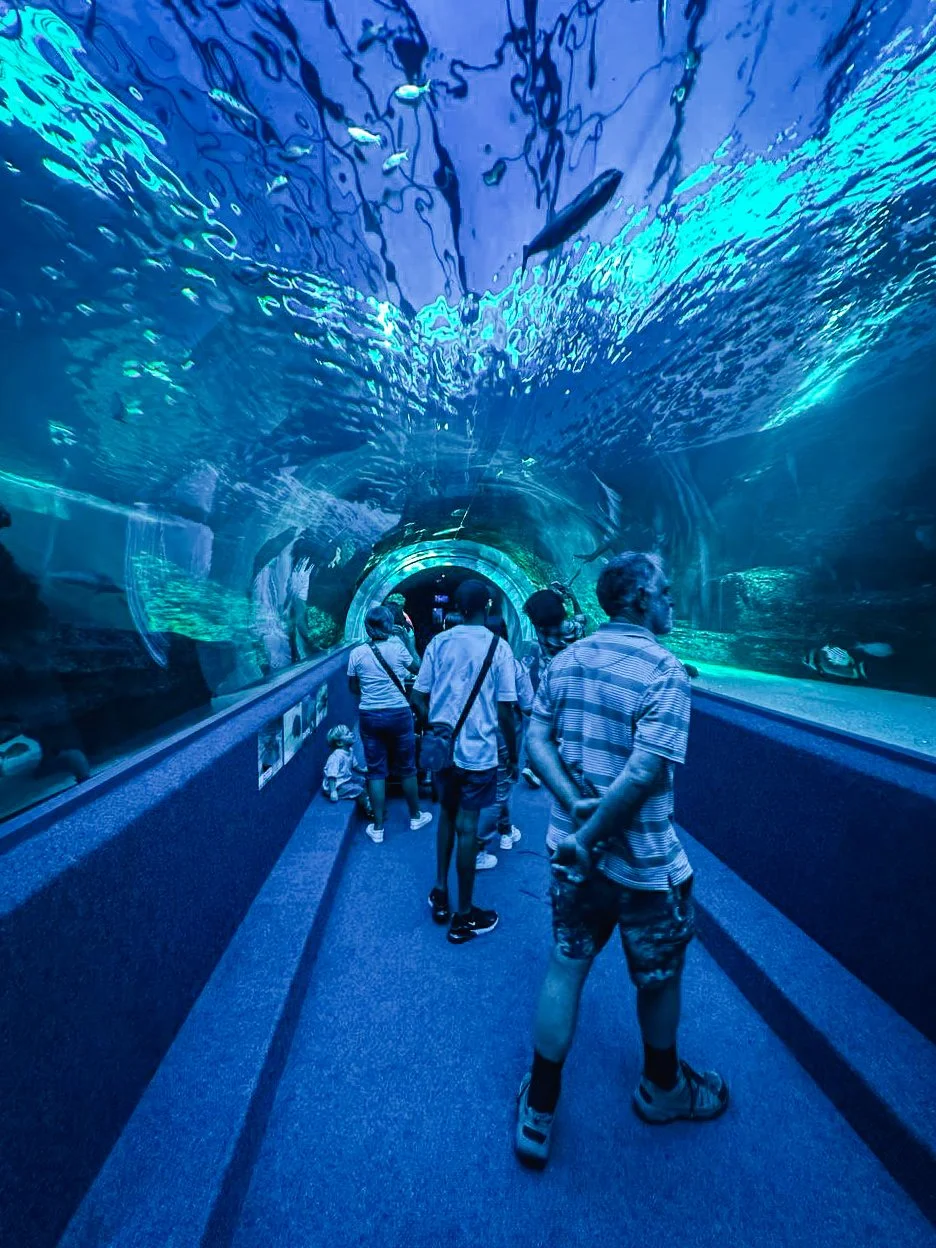 WhatsApp Image 2025-04-18 at 11.02.17 AM (1).JPG