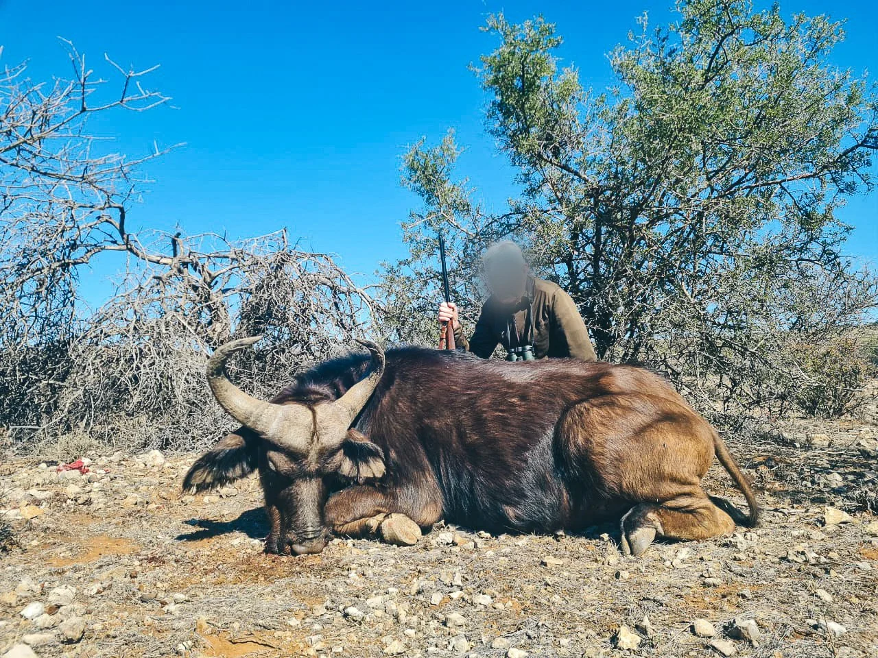 WhatsApp Image 2024-11-14 at 8.43.28 AM.jpg