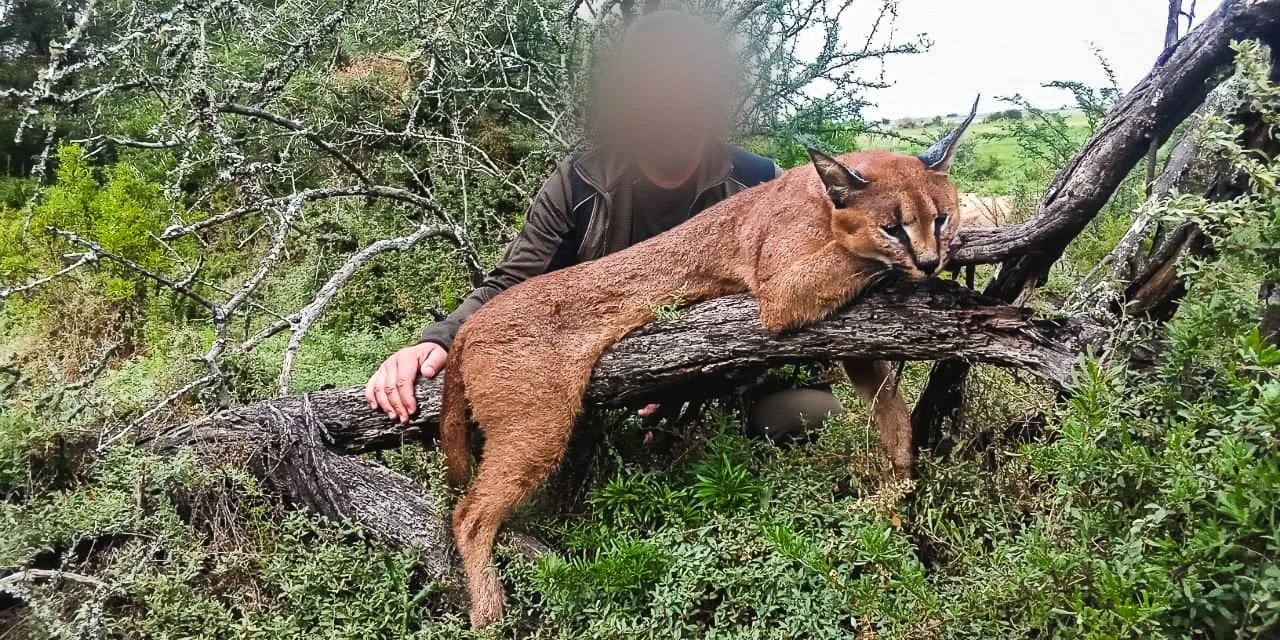 WhatsApp Image 2024-04-25 at 9.48.38 AM.jpg