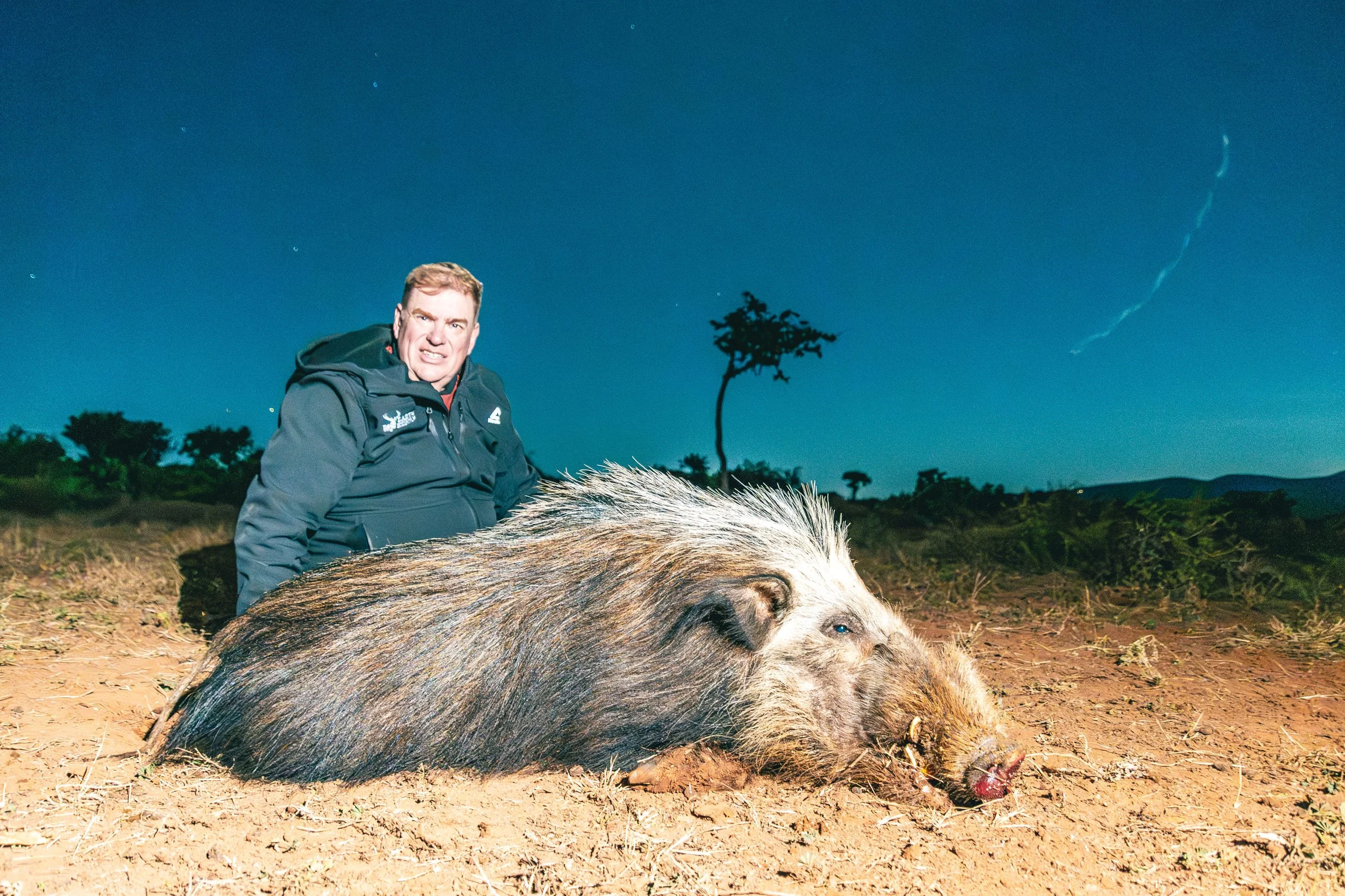 Bushpig (Male) - Trophy