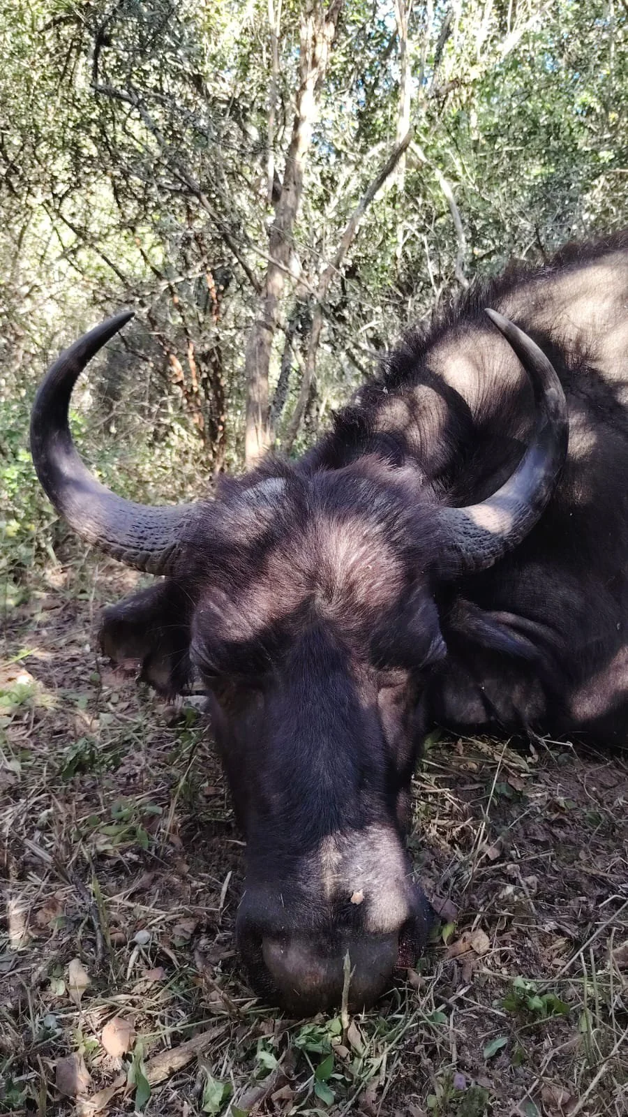 WhatsApp Image 2025-05-31 at 6.27.43 PM.JPG