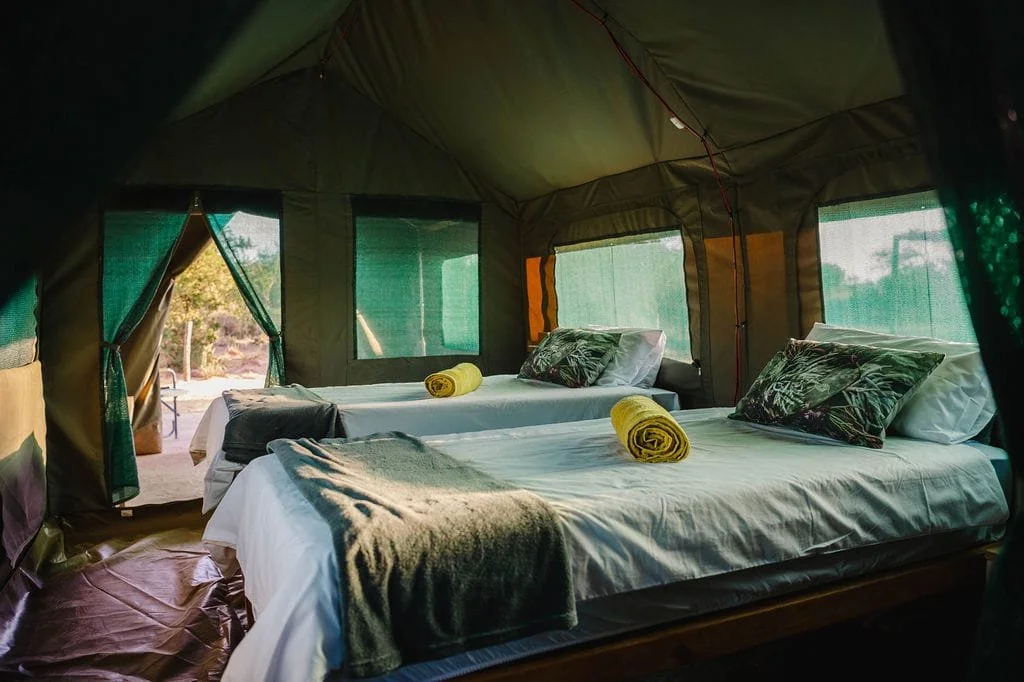 WhatsApp Image 2023-10-05 at 12.46.06 PM (1).jpeg