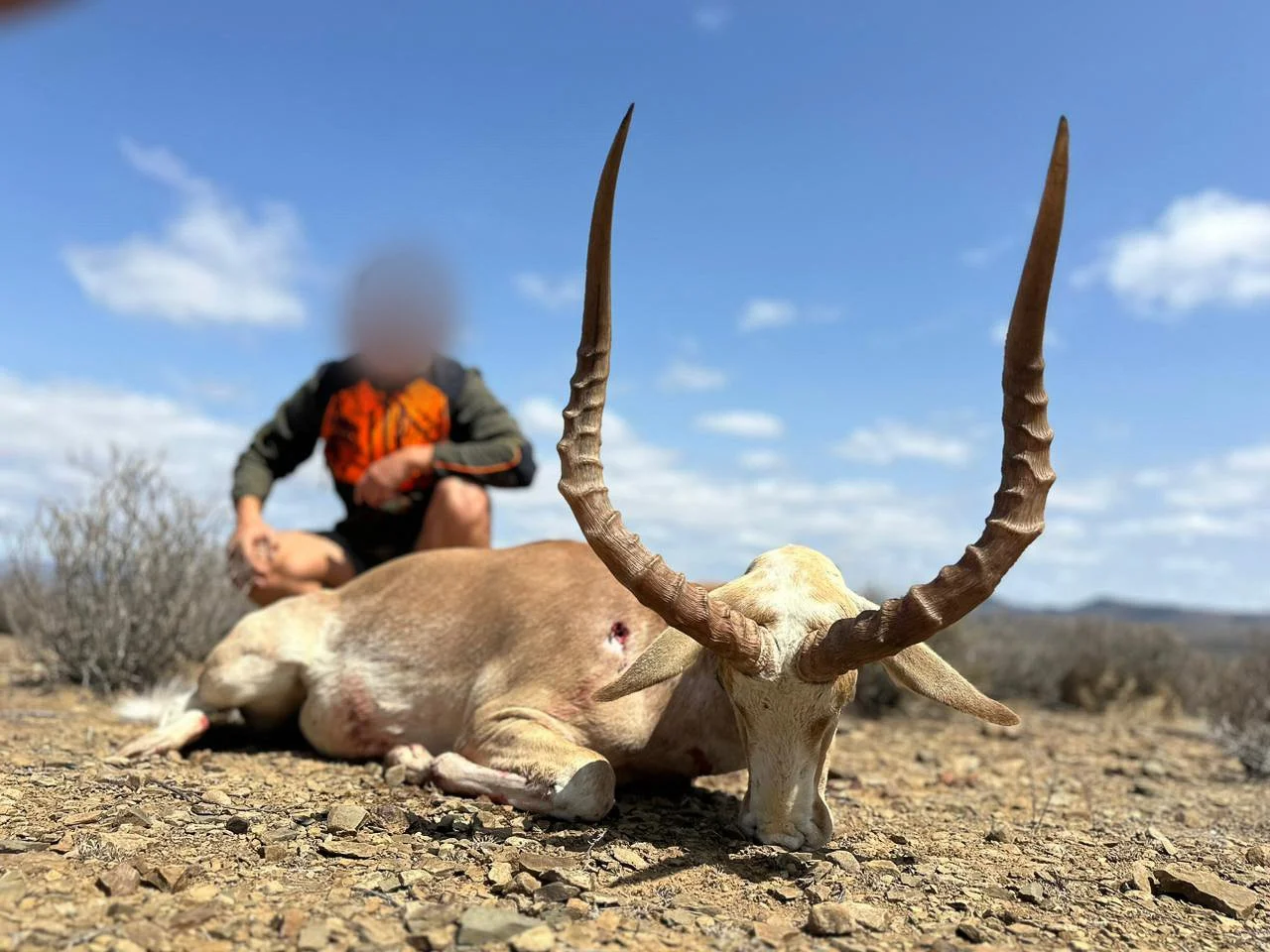 WhatsApp Image 2024-09-16 at 12.10.19 PM.jpg