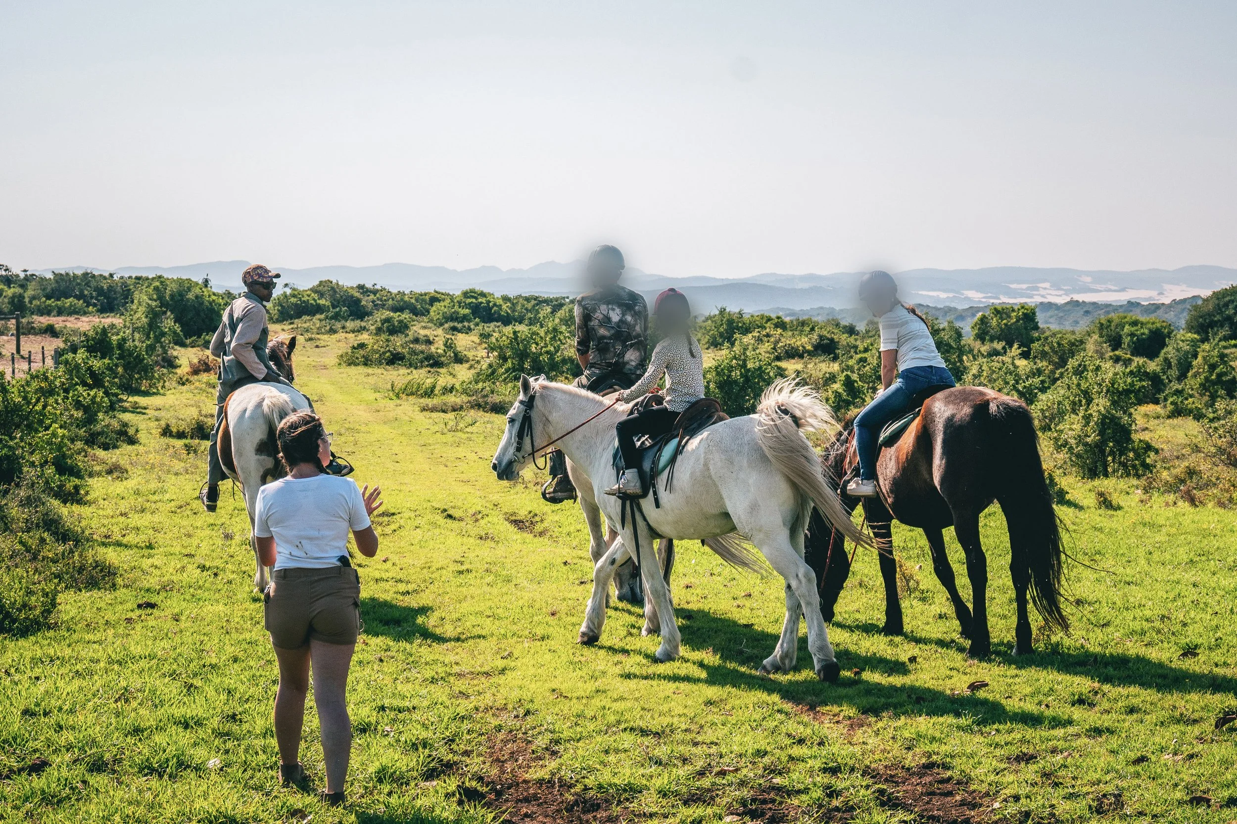 Group of five people walking and riding horses in a grassy field surrounded by green bushes and trees, with distant mountains in the background on a clear day.