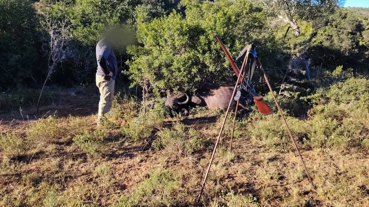 WhatsApp Image 2025-05-31 at 6.24.02 PM (1).jpg