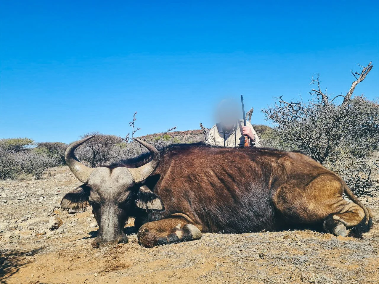 WhatsApp Image 2024-11-14 at 8.42.06 AM.jpg