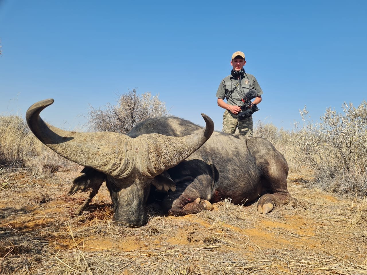 A man standing behind a large, dead buffalo in a dry, desert-like landscape with sparse bushes and clear blue sky.
