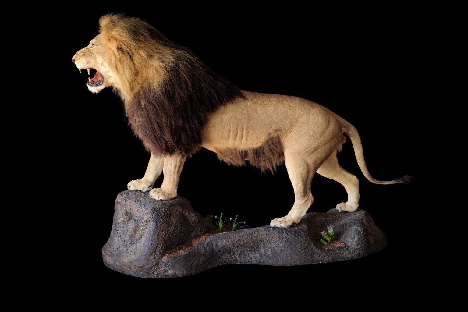 WhatsApp Image 2026-04-08 at 1.09.37 PM (2).jpeg