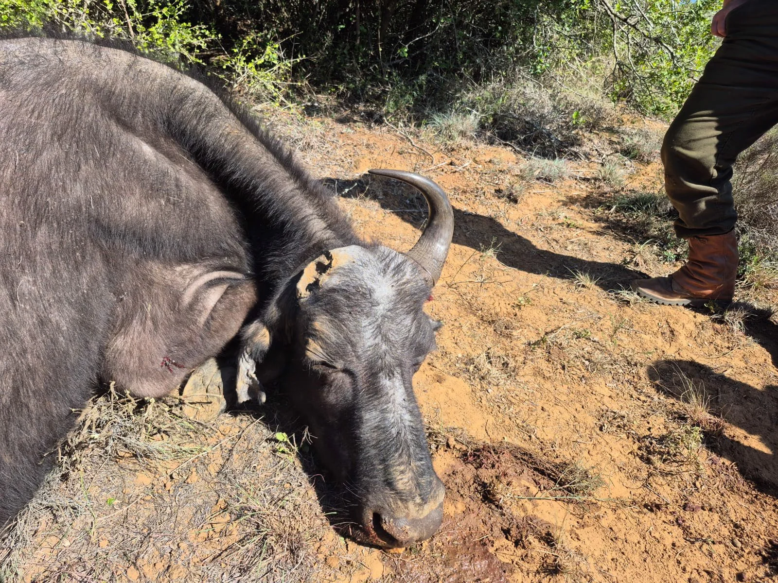 WhatsApp Image 2025-06-02 at 11.34.57 AM (1).JPG