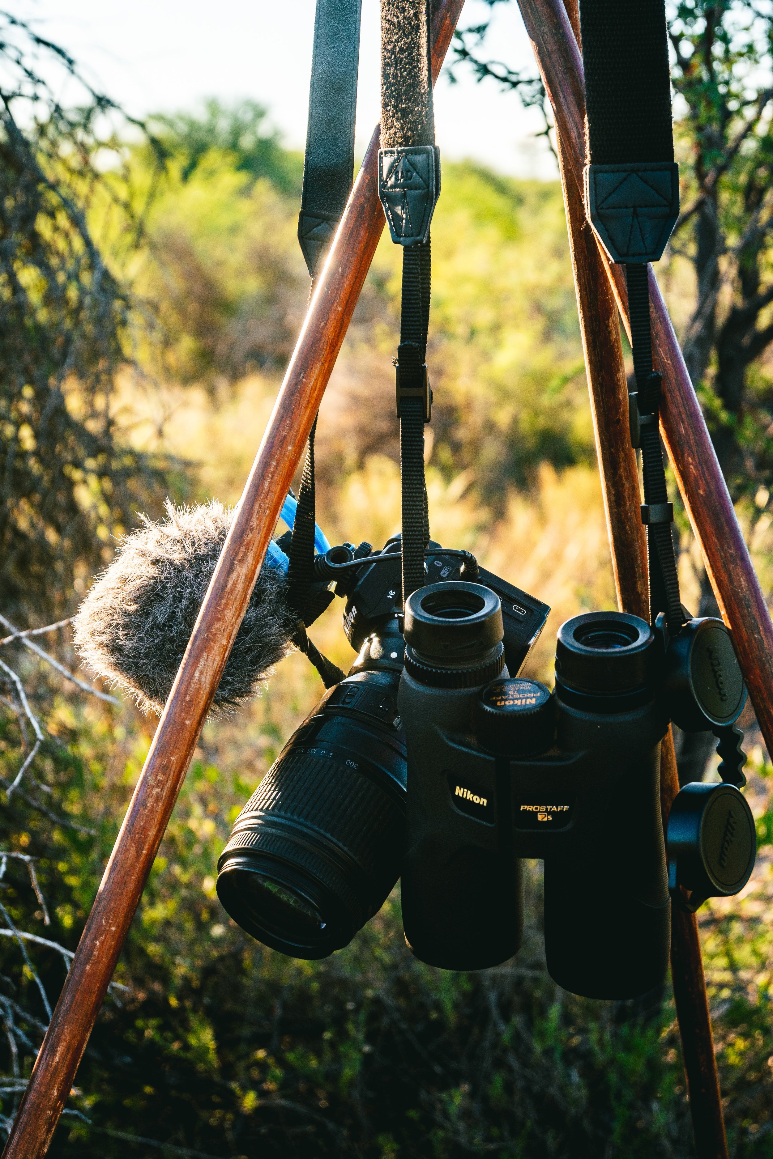 A Nikon camera with a zoom lens hanging from a tripod with a furry microphone attached, set outdoors during daylight in a natural setting with trees and foliage in the background.