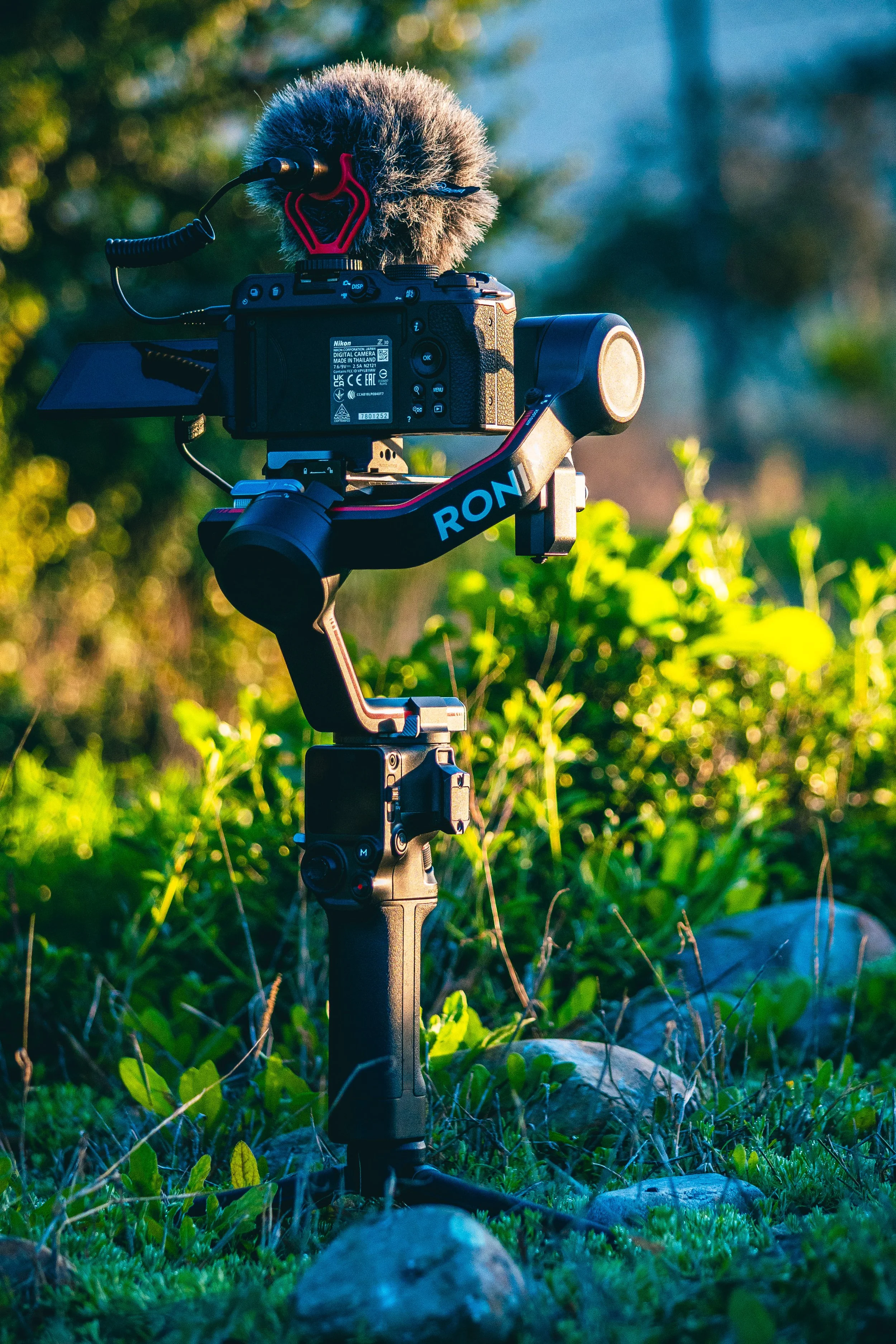 A professional camera mounted on a camera stabilizer outdoors, with greenery and rocks in the background.