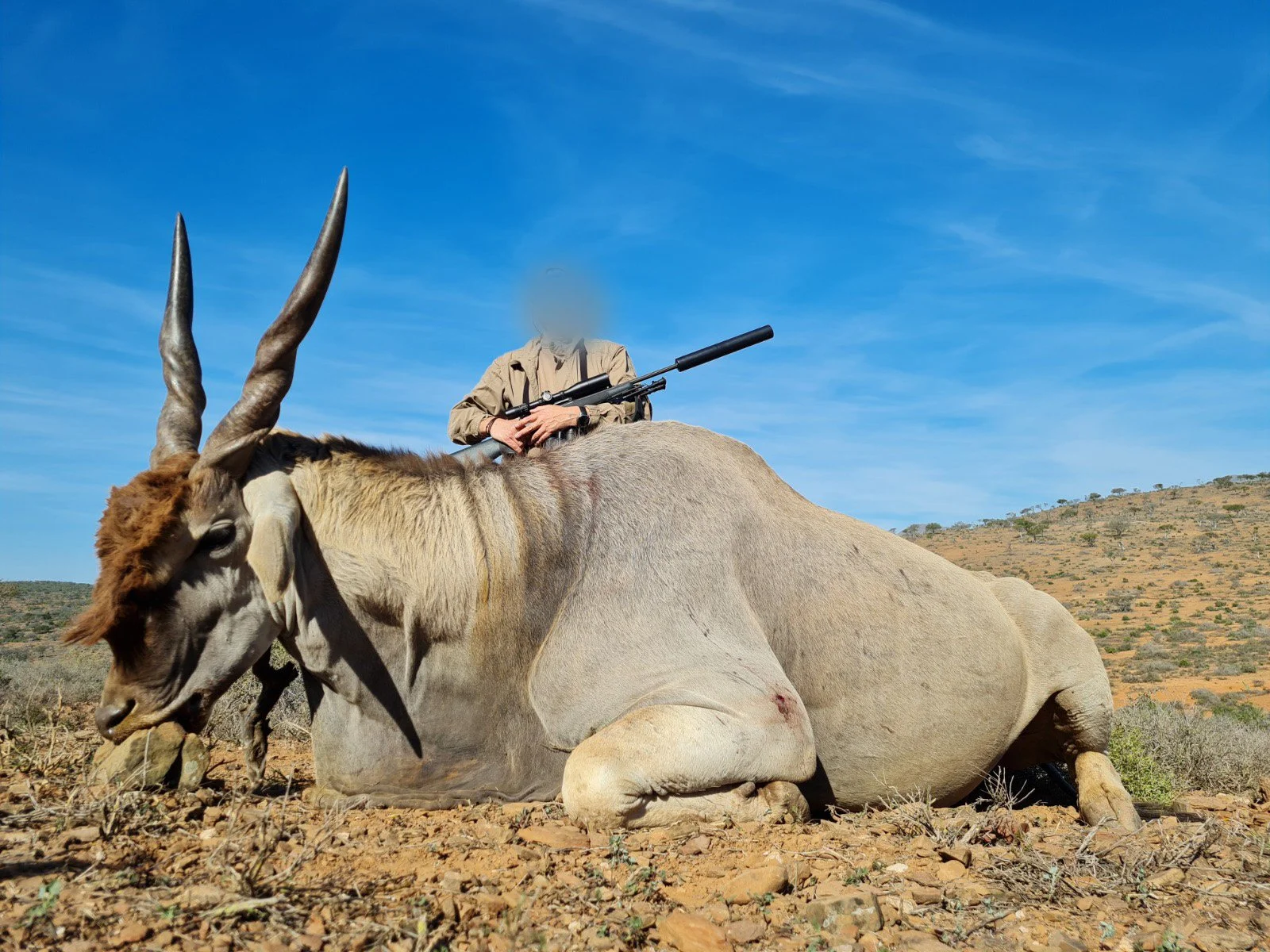 WhatsApp Image 2024-08-23 at 2.25.42 PM.jpg