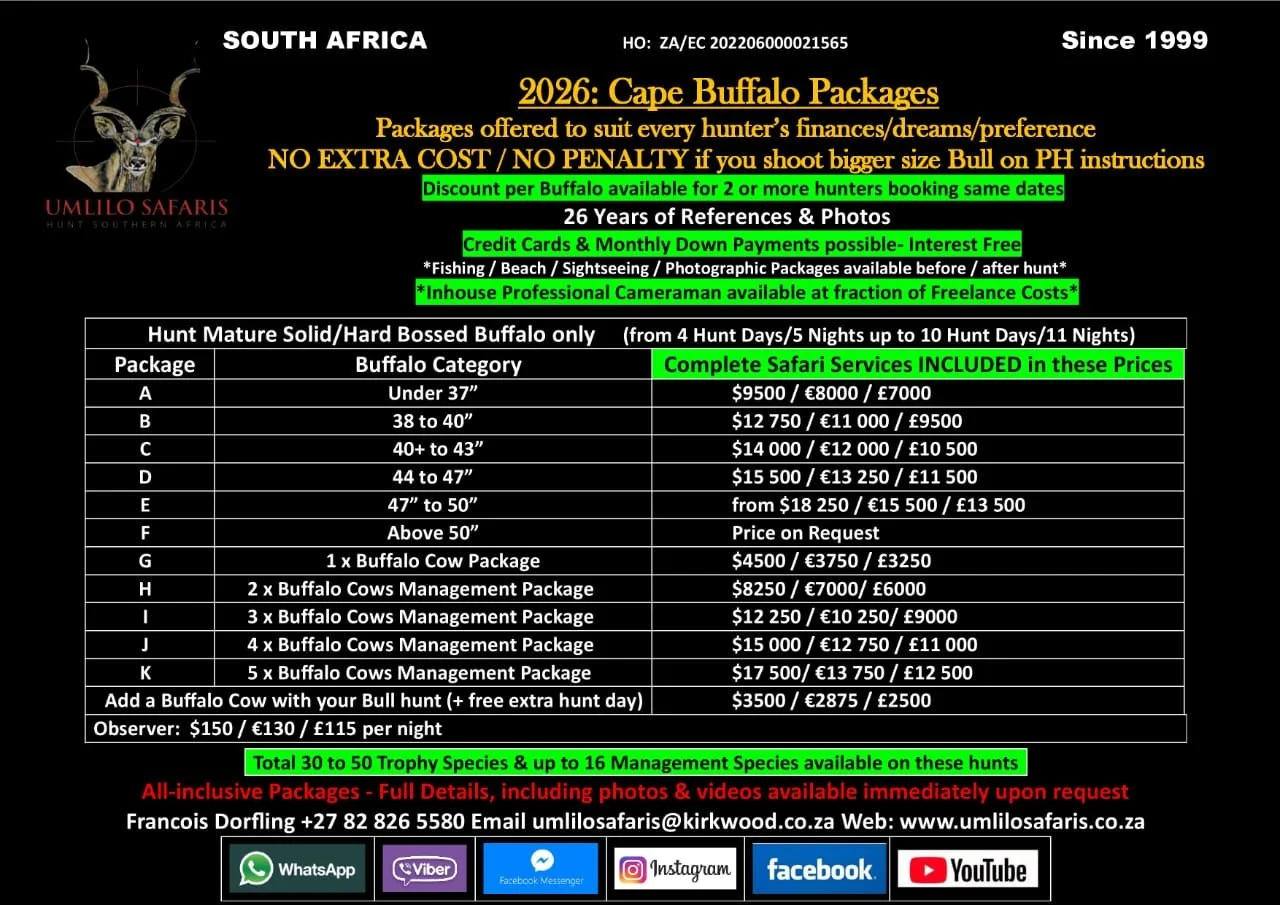 A promotional flyer for Umlilo Safaris in South Africa detailing buffalo hunting packages, prices, and services included, with contact information and social media icons.