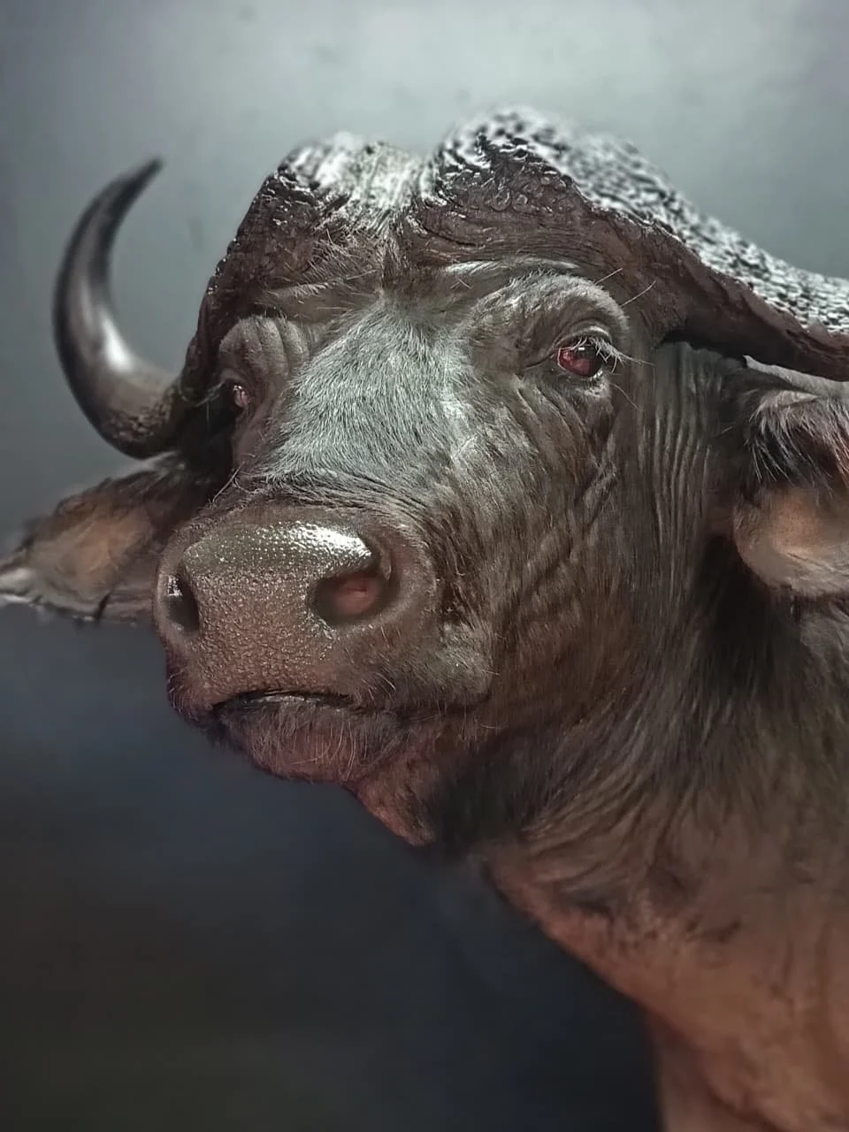 WhatsApp Image 2025-11-19 at 2.50.58 PM.jpeg