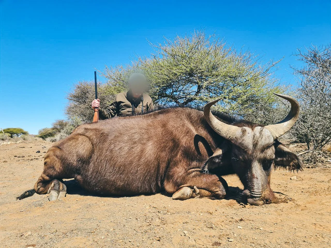 WhatsApp Image 2024-11-14 at 8.43.55 AM.jpg